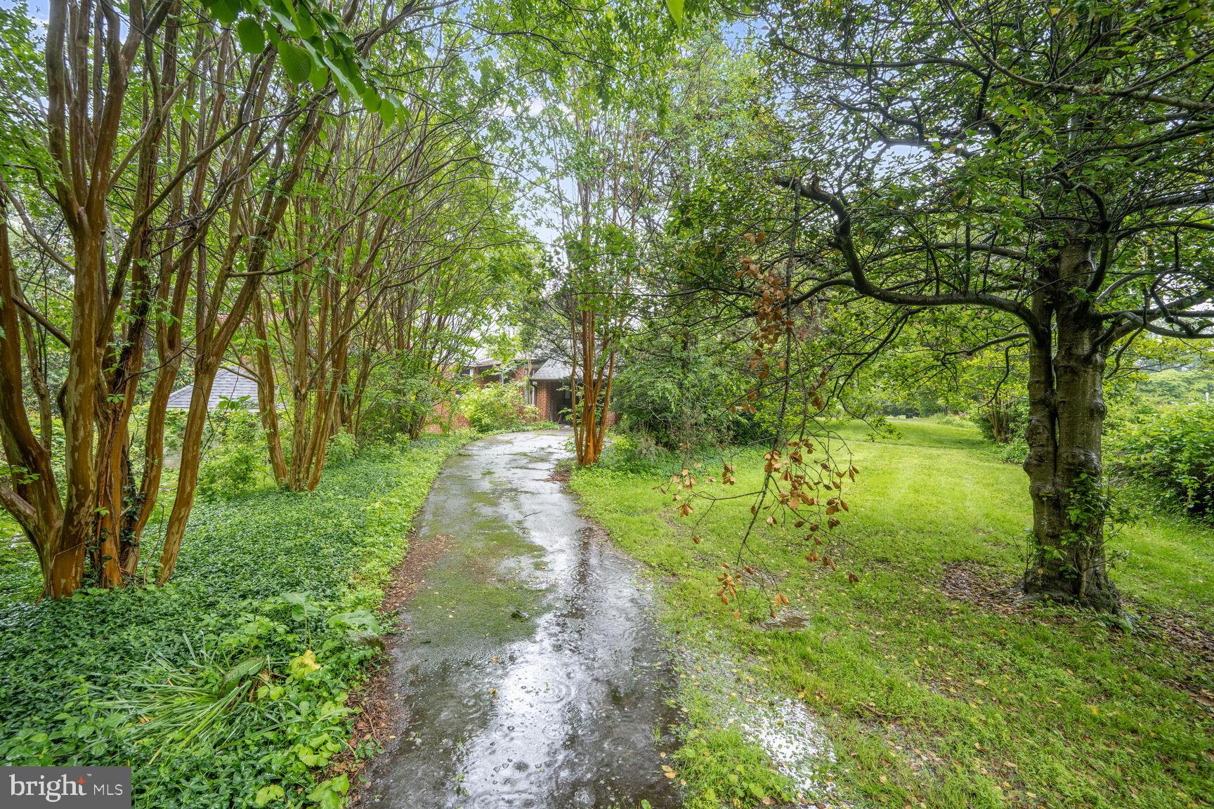 MEADOWOOD - Residential