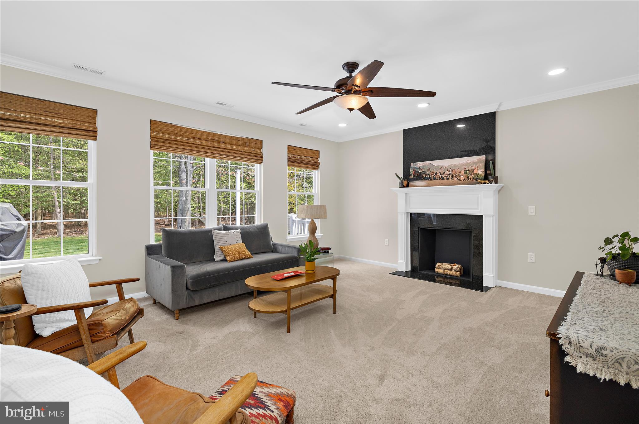 MALLARD RUN - Residential