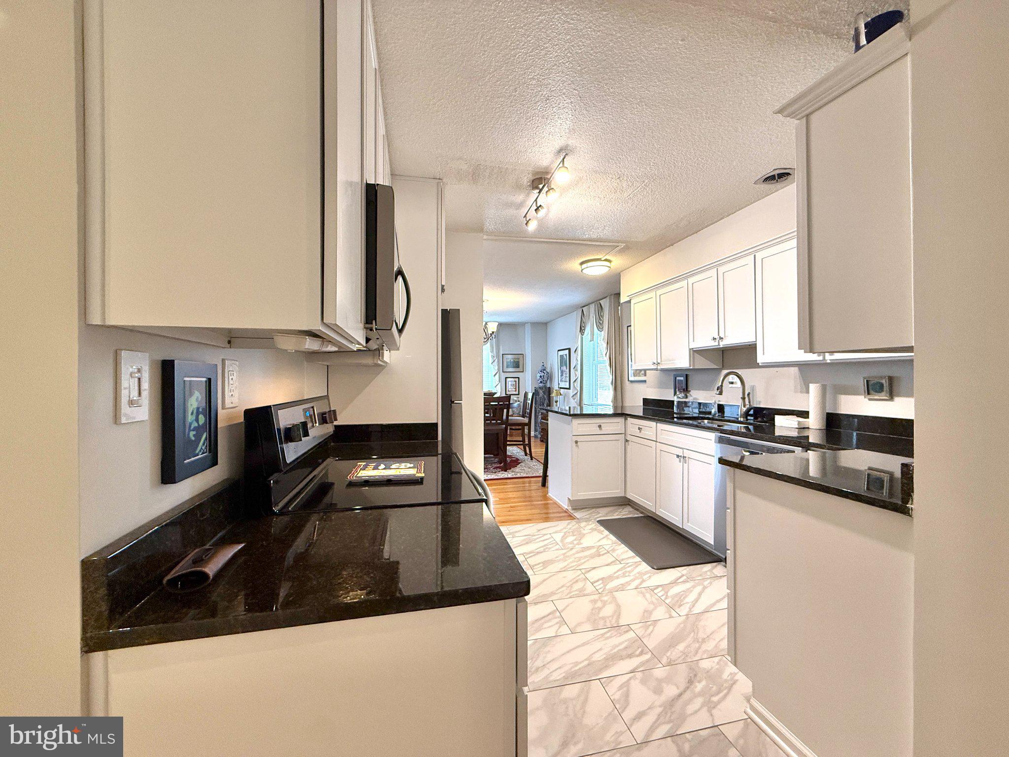 1101 SAINT PAUL STREET 704