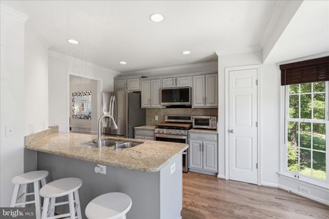 Tiny photo for 43253 Chokeberry Square, ASHBURN, VA 20147 (MLS # VALO2124664)