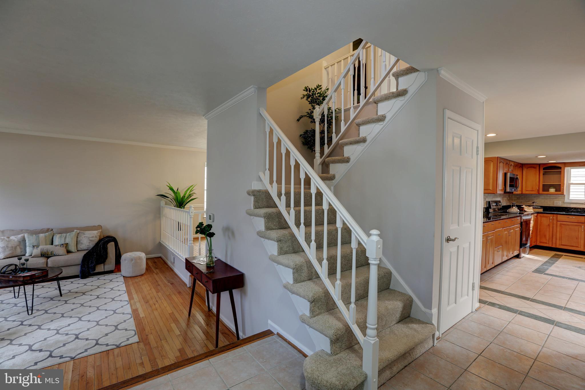 MACGILLS COMMON - Residential