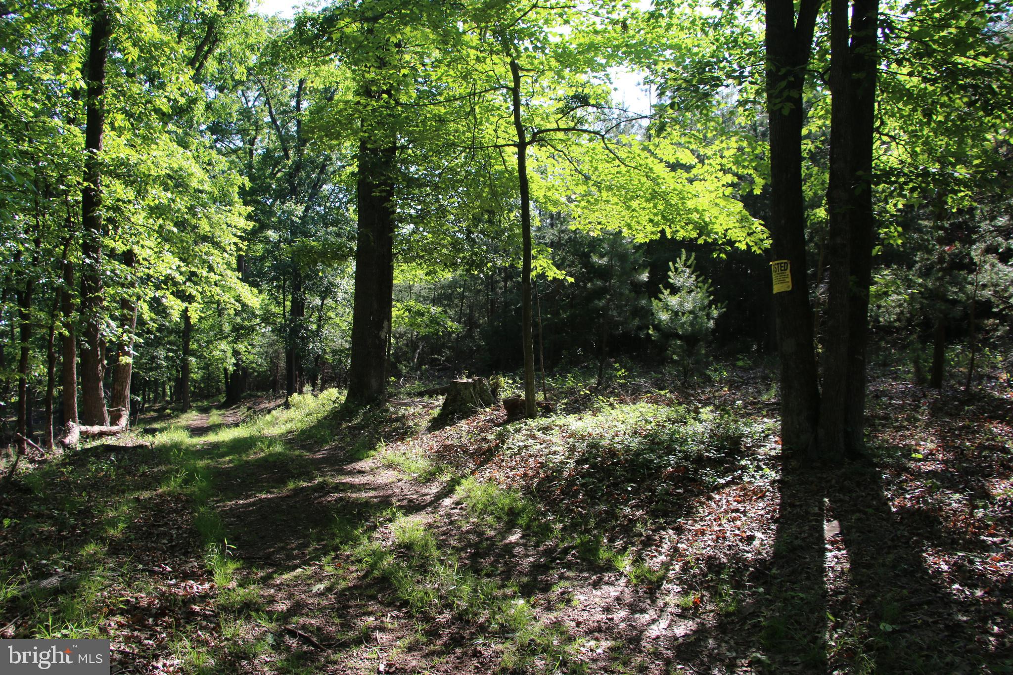 SILER HEIGHTS - Land