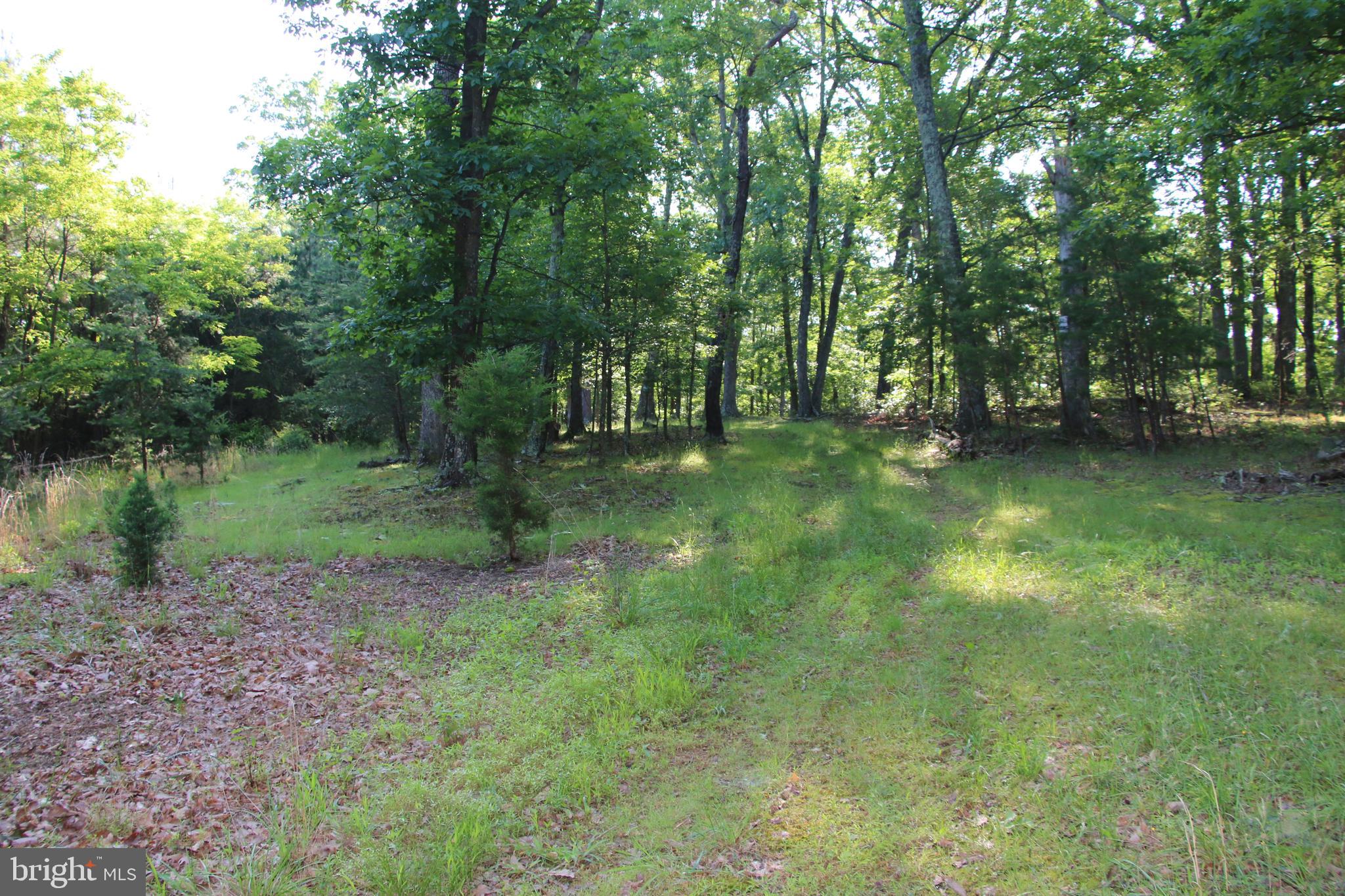 SILER HEIGHTS - Land