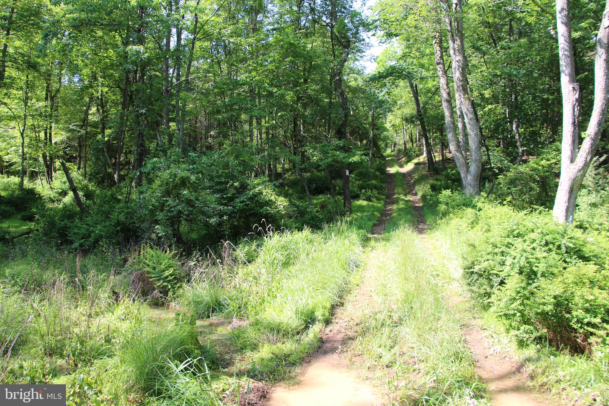 SILER HEIGHTS - Land