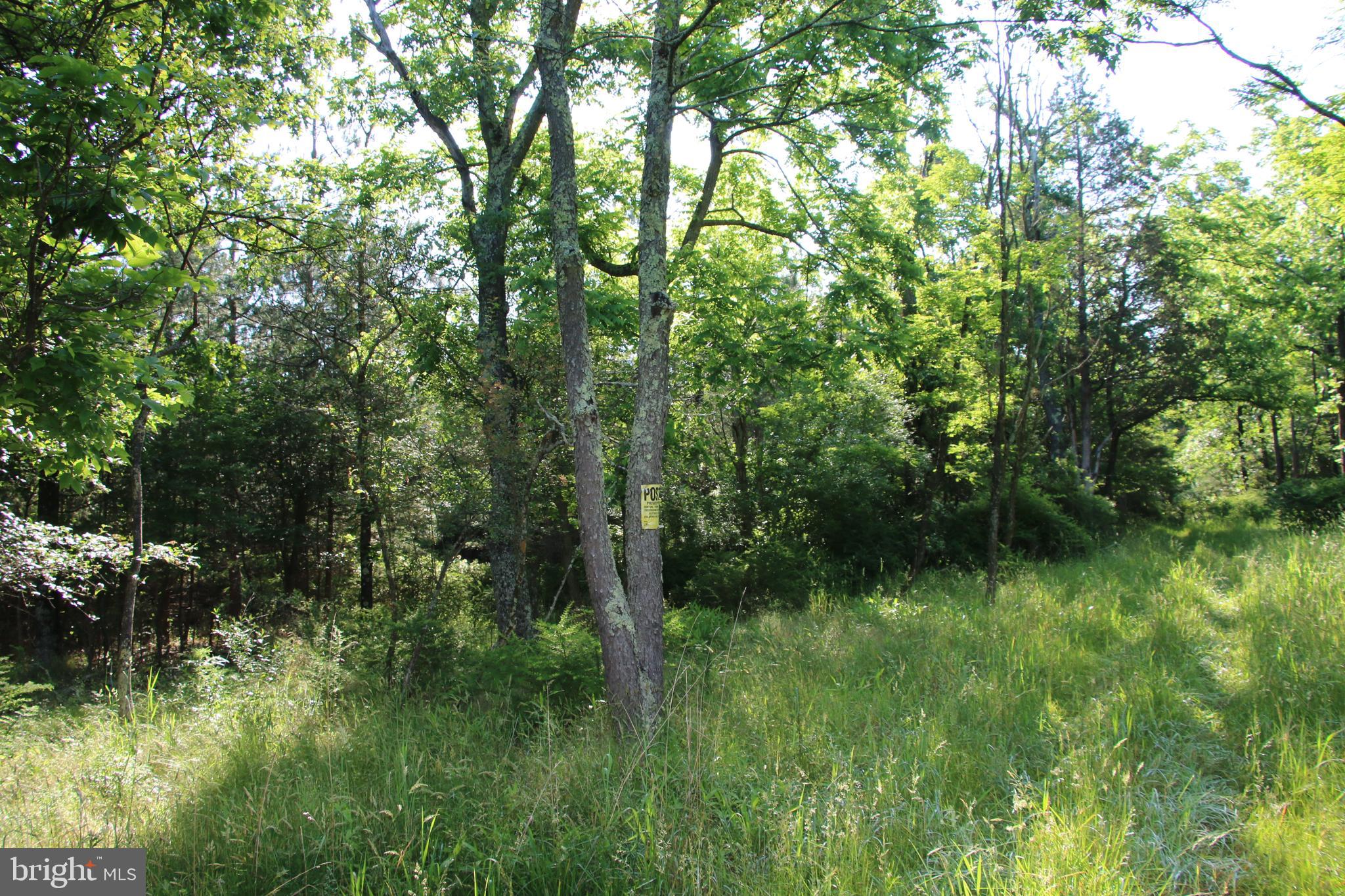 SILER HEIGHTS - Land