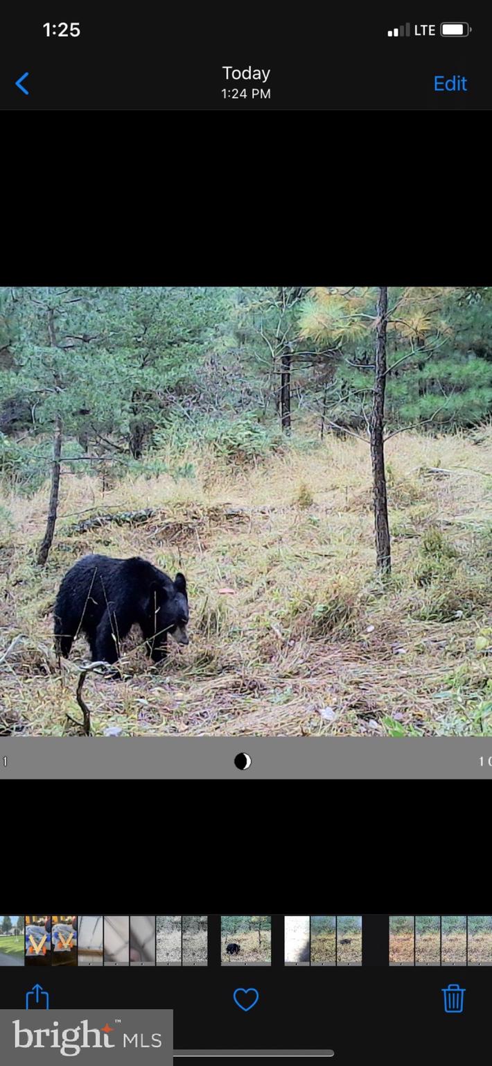 SILER HEIGHTS - Land