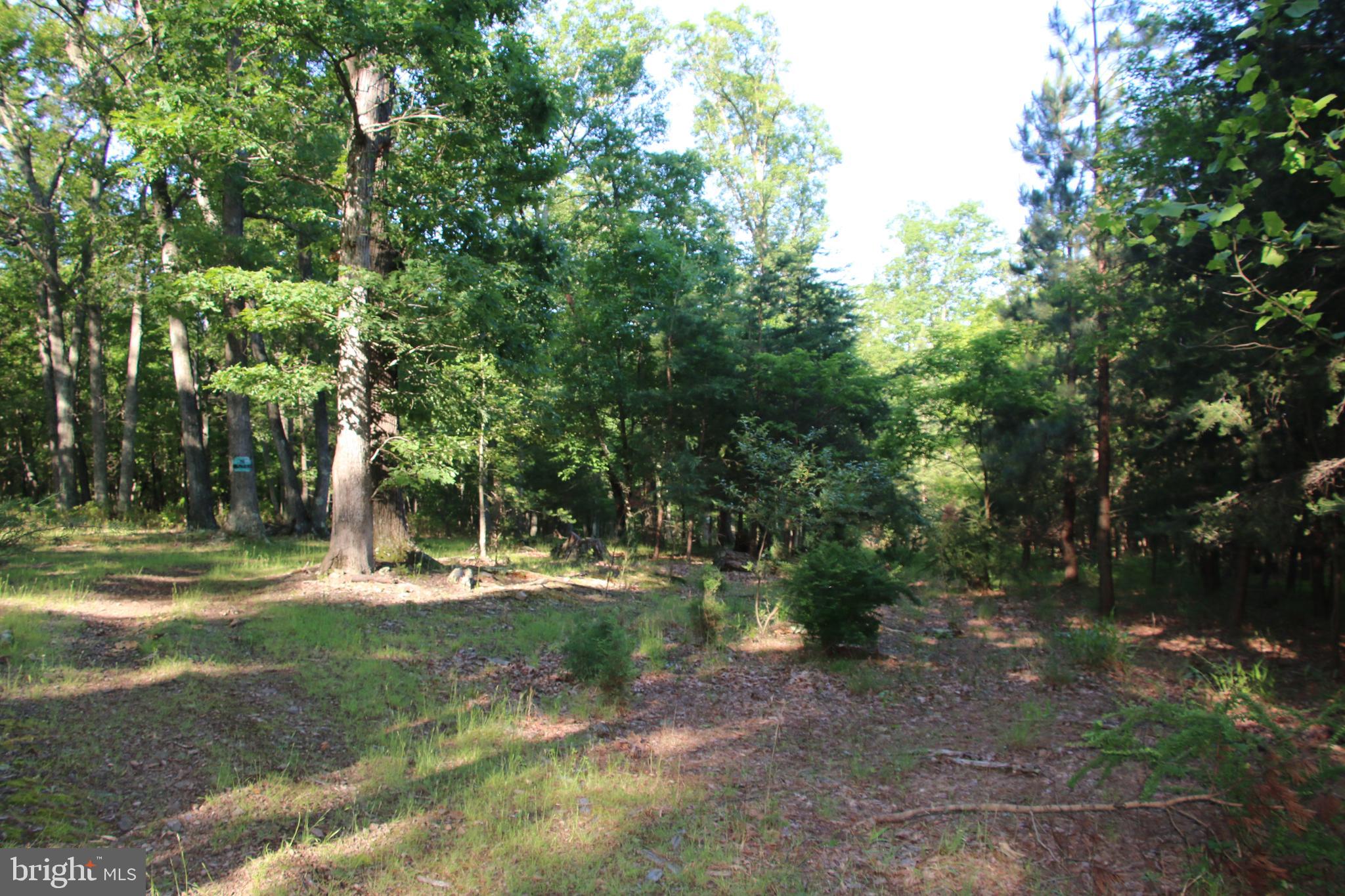 SILER HEIGHTS - Land