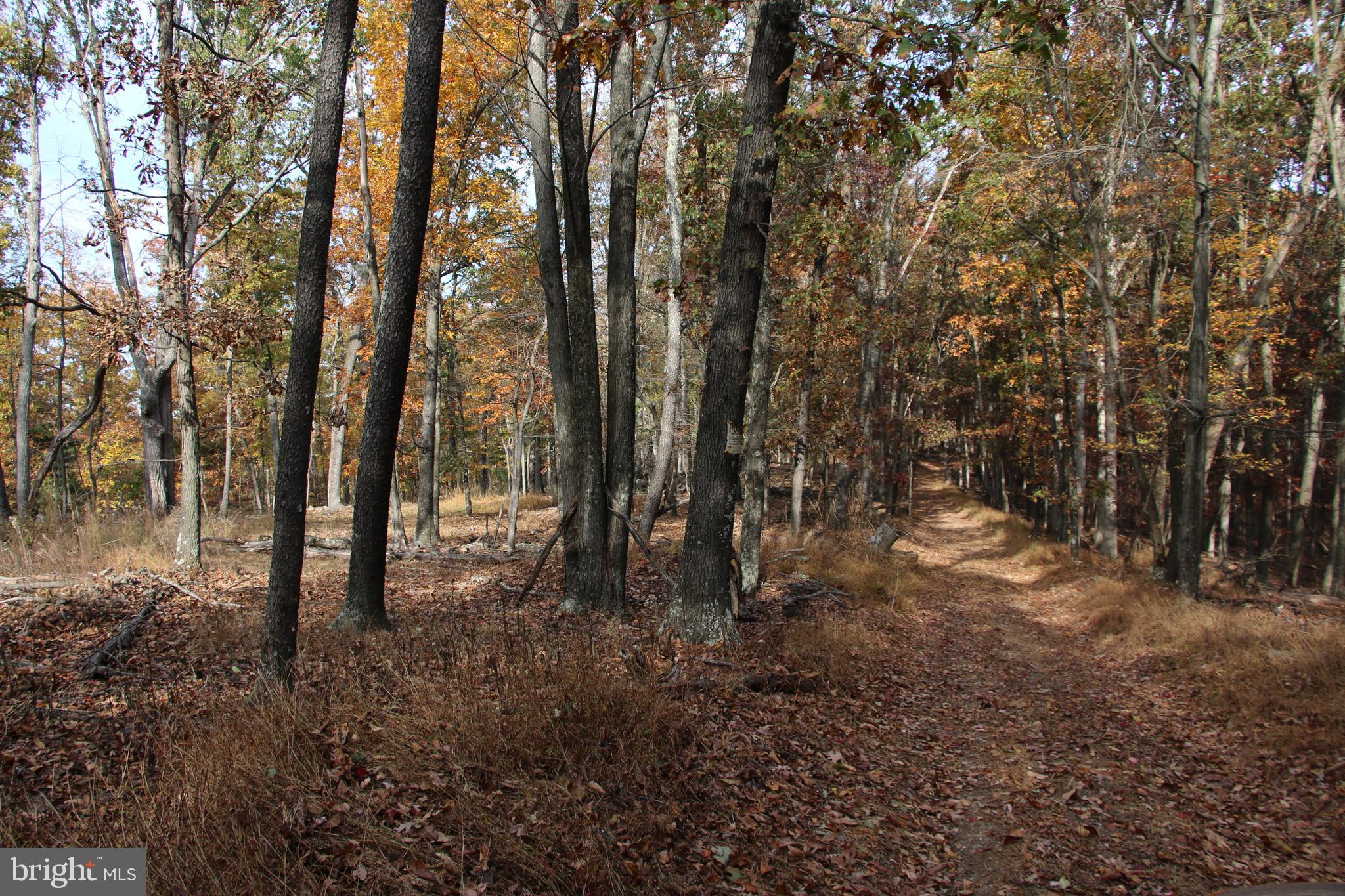 SILER HEIGHTS - Land