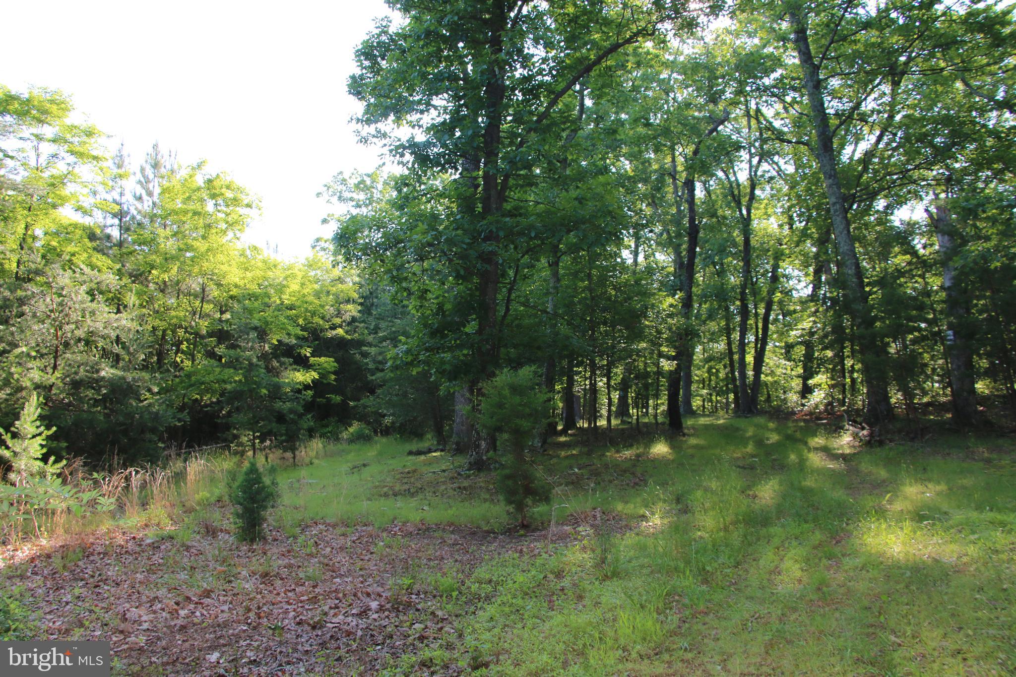 Own a piece of the beautiful Siler Heights community in Cross Junction. Located just minutes northwest of Winchester near Lake Holiday. Access is secured via extensive road frontage on Easter Ridge Lane. Experience exciting hunting as many types of wildlife call this property home including deer, turkey, and many small game species. There are potential building sites located throughout the property. This tract is currently being used for recreation but it would also make an excellent site for your dream home or vacation rental. An expired 3 bedroom septic permit is on record with the county health department. Stellar views of the surrounding countryside are attainable with some tree clearing. This property features mildly sloping topography which is builder friendly and allows for enjoyment of the land. Currently enrolled in the county’s forestry land use program to reduce the annual taxes. This is a fully wooded property that is zoned Rural Areas (RA). Enjoy hiking, camping, and recreation of all types on this land. A short drive from all the amenities and attractions Winchester has to offer.
***Additional adjoining acreage available for purchase. See aerials for details.***
***The land is being sold in AS-IS condition.***