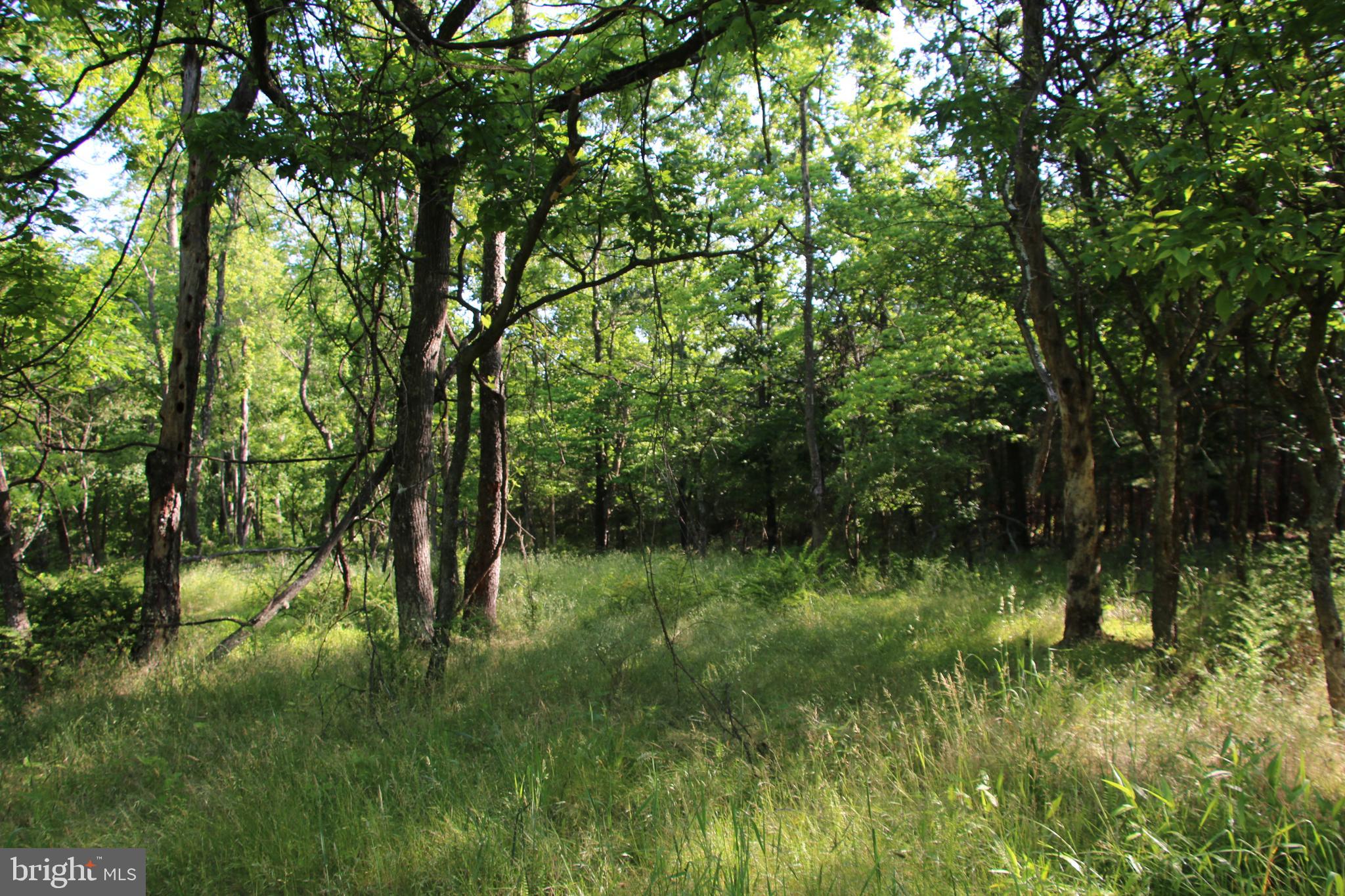 SILER HEIGHTS - Land