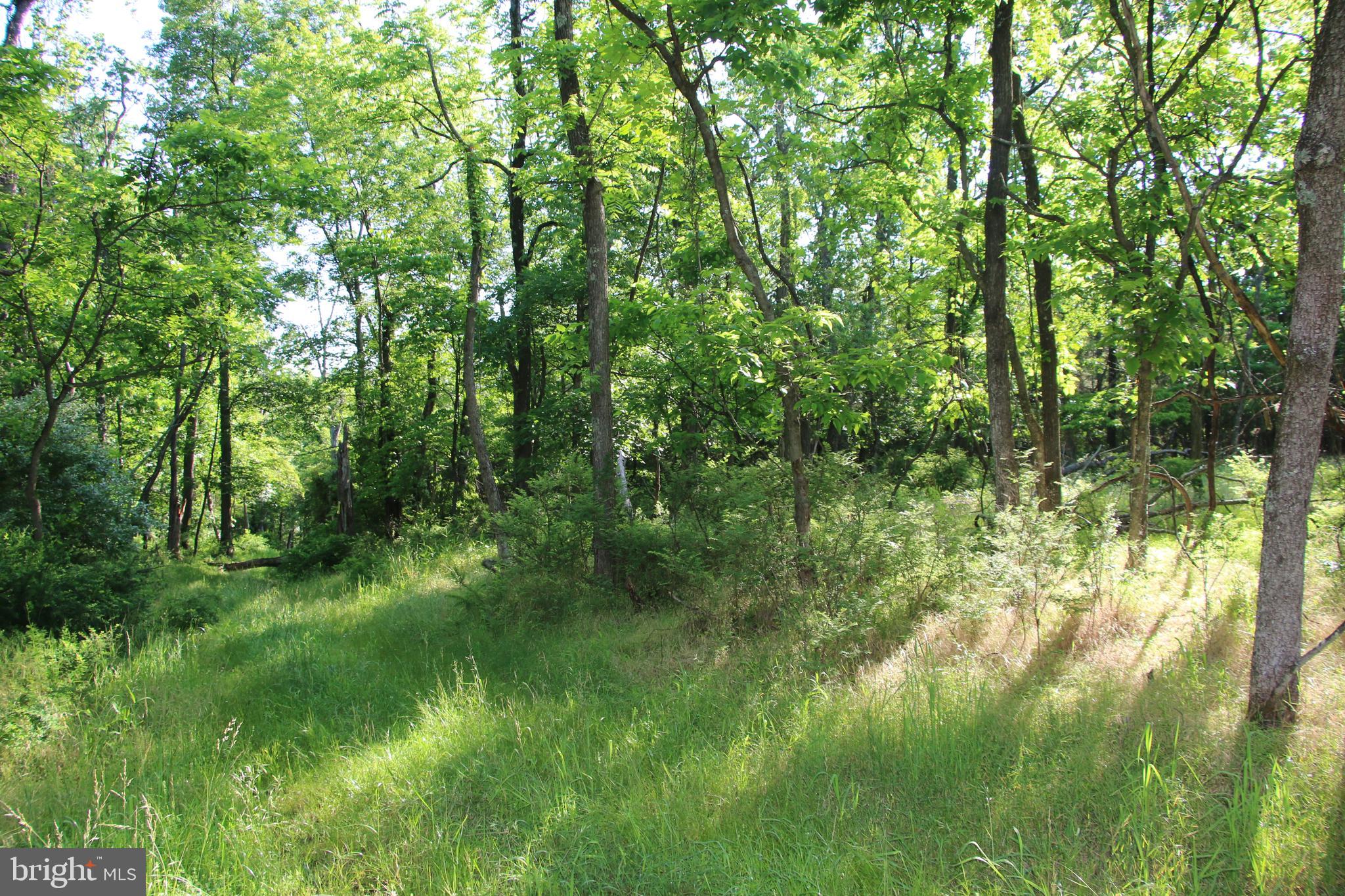 SILER HEIGHTS - Land