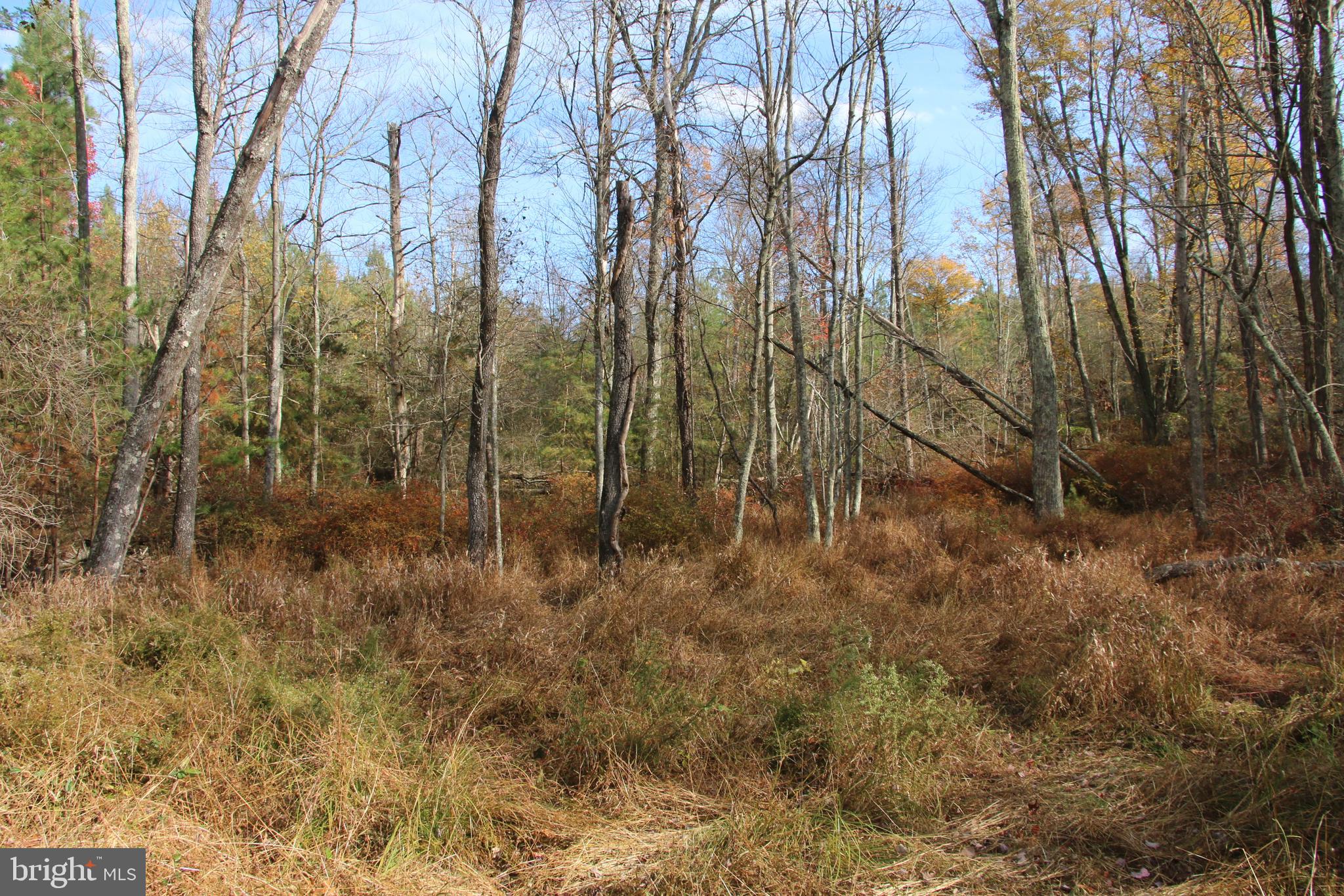 SILER HEIGHTS - Land