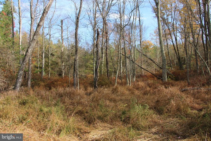 Own a piece of the beautiful Siler Heights community in Cross Junction. Located just minutes northwest of Winchester near Lake Holiday. Access is secured via extensive road frontage on Easter Ridge Lane. Experience exciting hunting as many types of wildlife call this property home including deer, turkey, and many small game species. There are potential building sites located throughout the property. This tract is currently being used for recreation but it would also make an excellent site for your dream home or vacation rental. An expired 3 bedroom septic permit is on record with the county health department. Stellar views of the surrounding countryside are attainable with some tree clearing. This property features mildly sloping topography which is builder friendly and allows for enjoyment of the land. Currently enrolled in the county’s forestry land use program to reduce the annual taxes. This is a fully wooded property that is zoned Rural Areas (RA). Enjoy hiking, camping, and recreation of all types on this land. A short drive from all the amenities and attractions Winchester has to offer. 

***Additional adjoining acreage available for purchase. See aerials for details.***
***The land is being sold in AS-IS condition.***