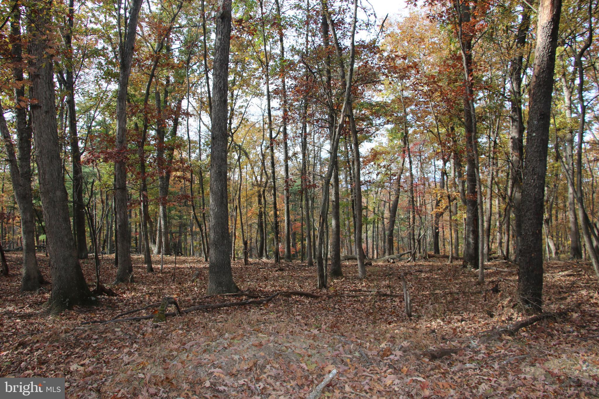 SILER HEIGHTS - Land