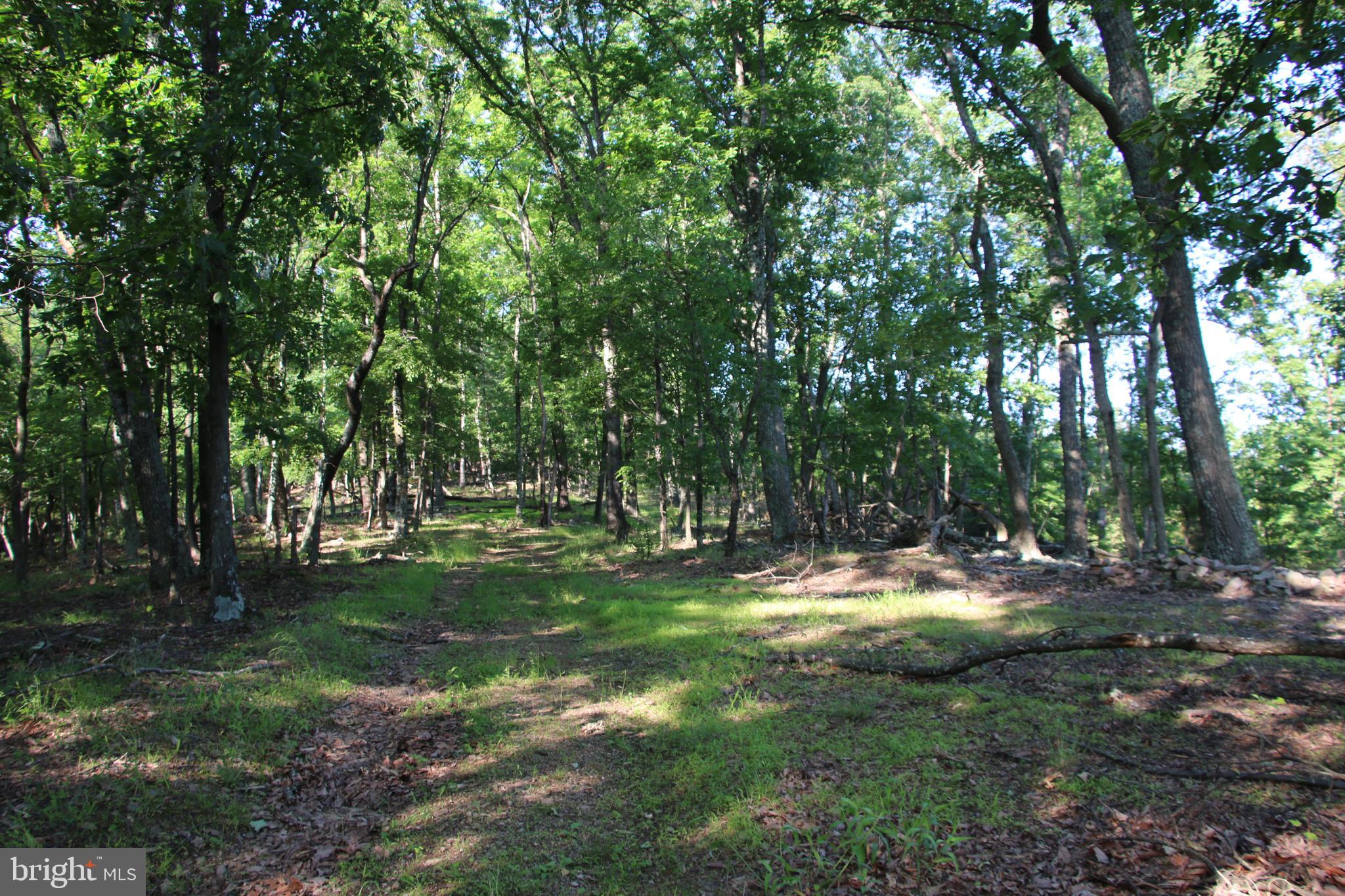 SILER HEIGHTS - Land