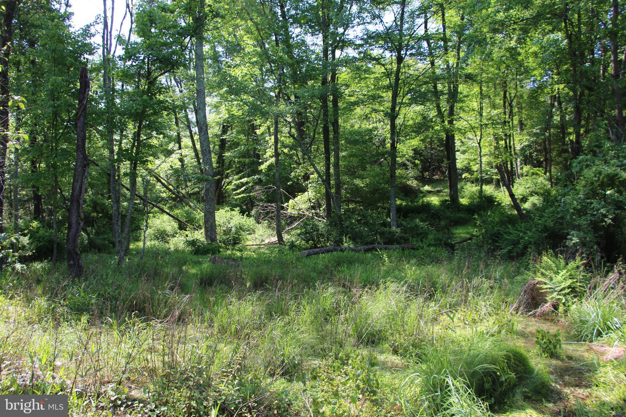 SILER HEIGHTS - Land