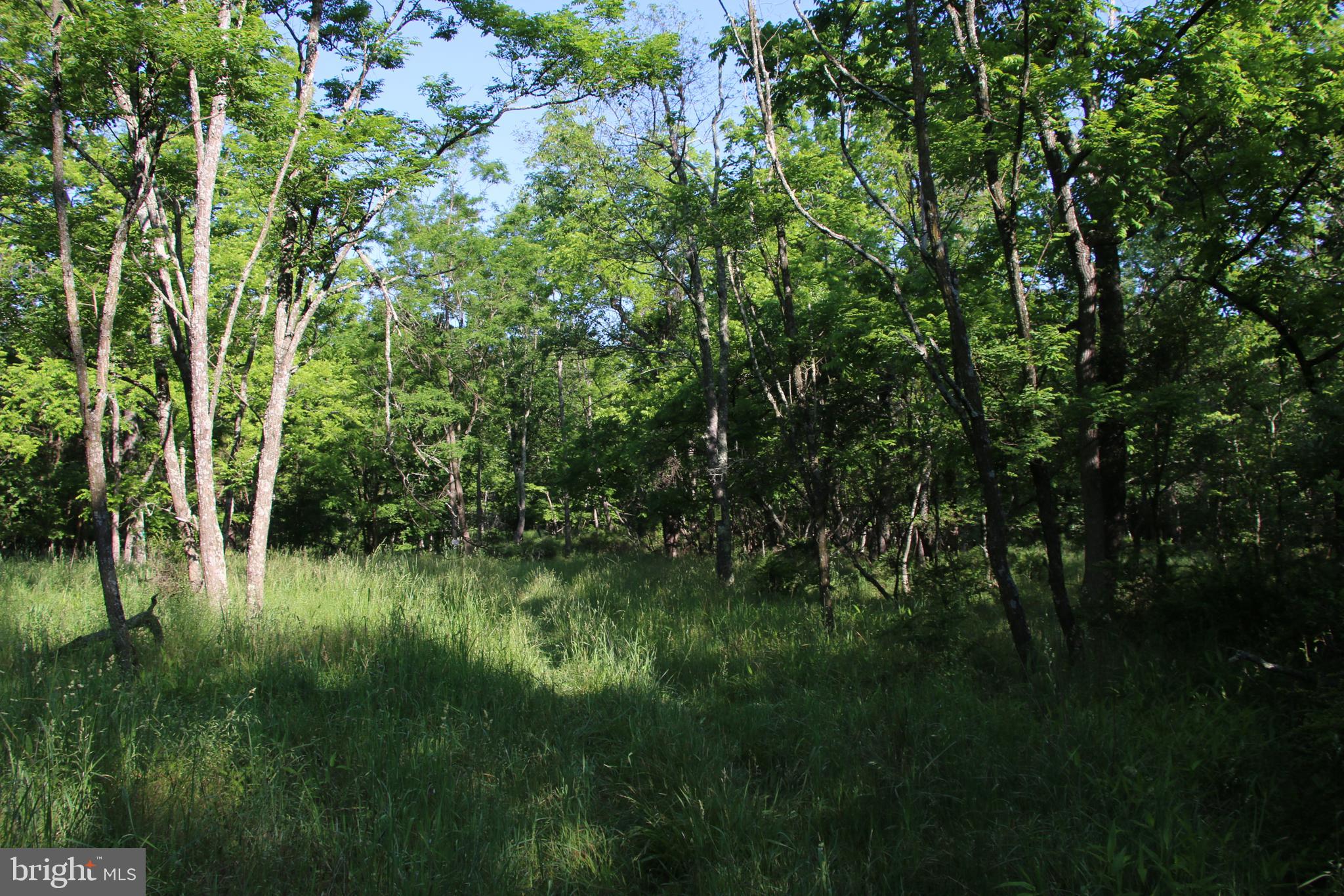 SILER HEIGHTS - Land