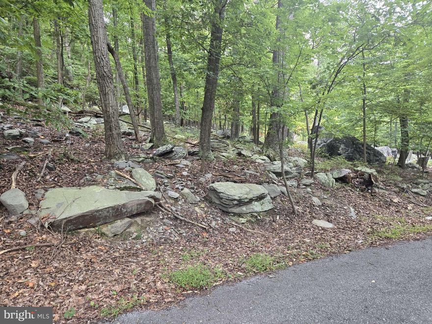 These two beautiful mountainous lots have been previously perked in 1992 for a 3-bedroom home. Please consider the validity of a perc is entirely dependent upon the changes that the property has undergone since that perc was done.  Your blank canvas of 1.68 acres awaits!