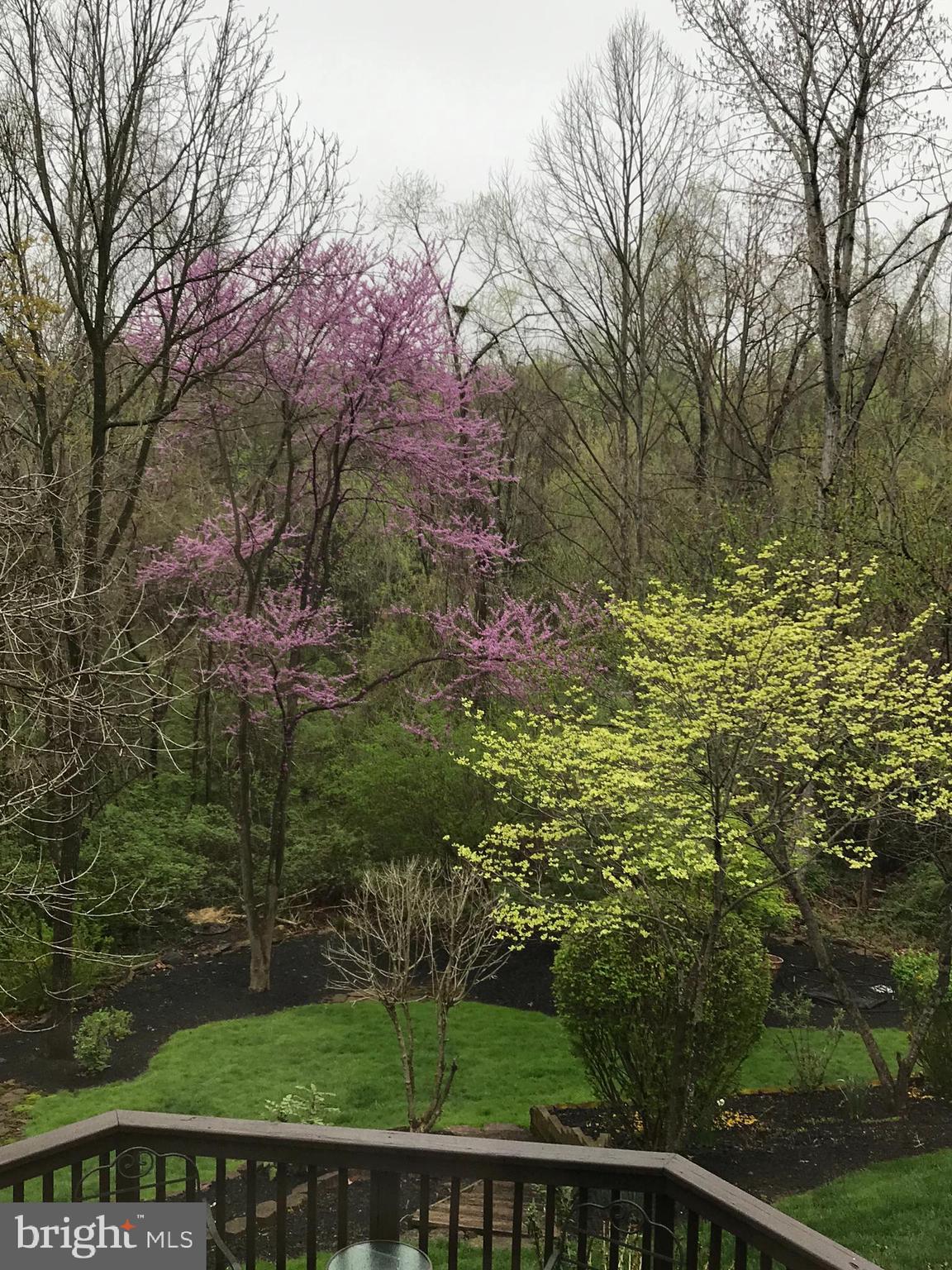 CHANTILLY HIGHLANDS - Residential