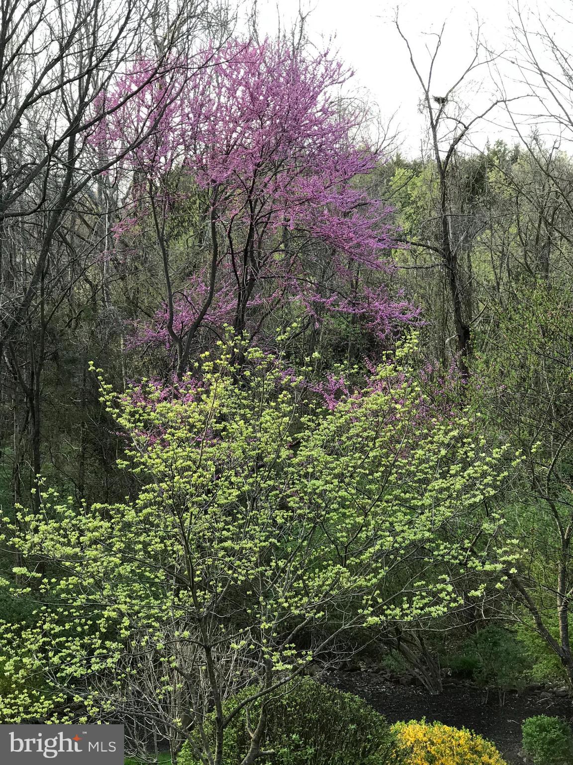 CHANTILLY HIGHLANDS - Residential