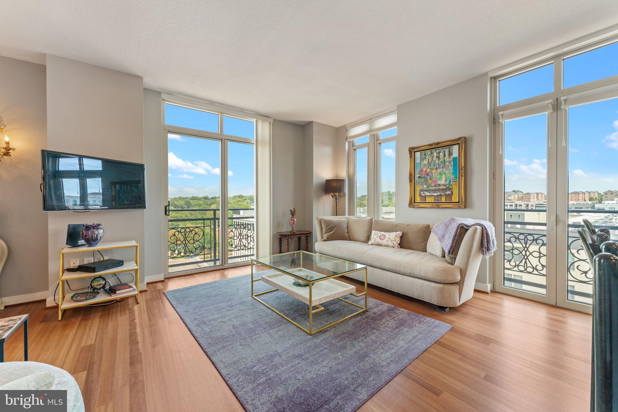 155 POTOMAC PASSAGE 903