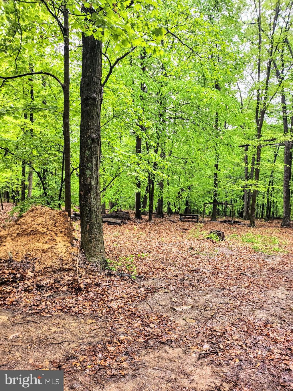 Photo of Mosquito Hollow Rd, SIX MILE RUN, PA 16679 (MLS # PABD2001378)