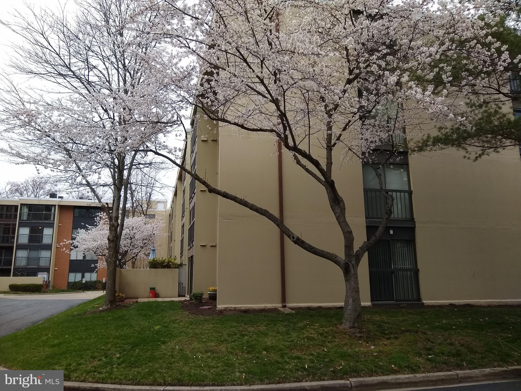 LEISURE WORLD - Residential