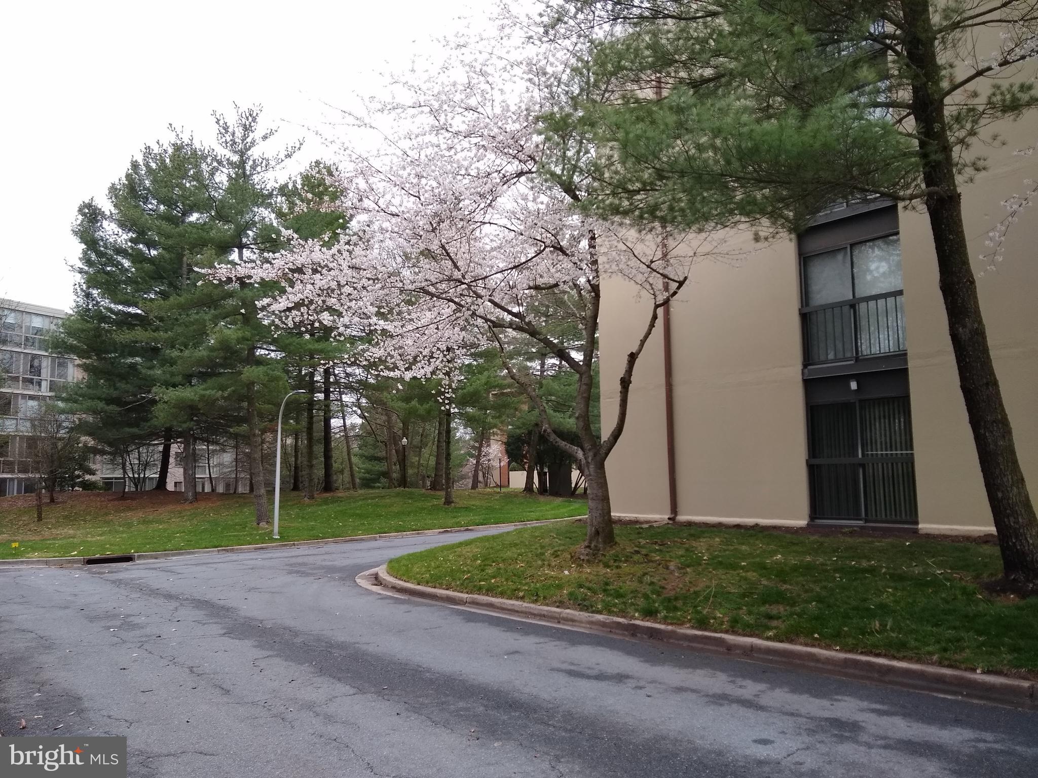 LEISURE WORLD - Residential