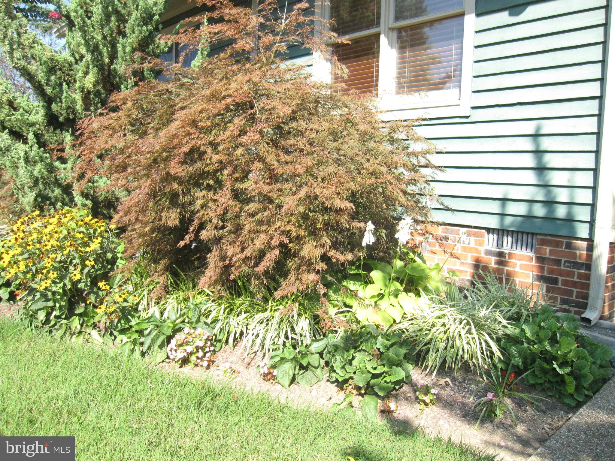 MILL CREEK CONDOMINIUMS - Residential