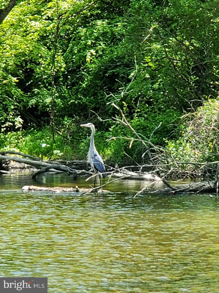 THE PORCHES OF ALLENBERRY - Residential