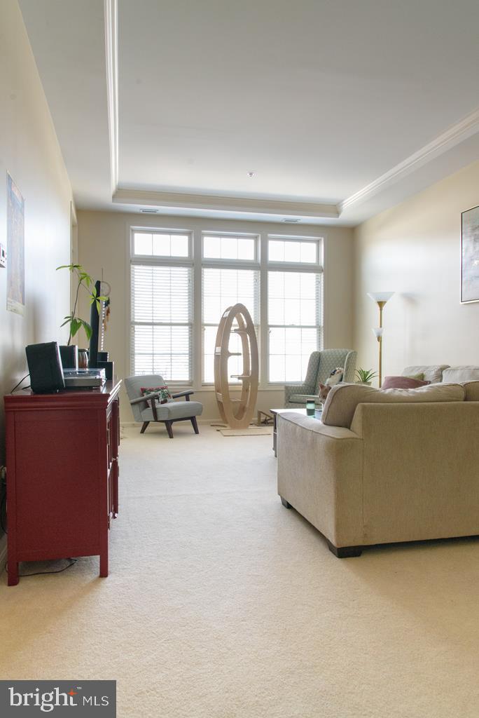 THE SUMMIT AT SHILOH - Residential