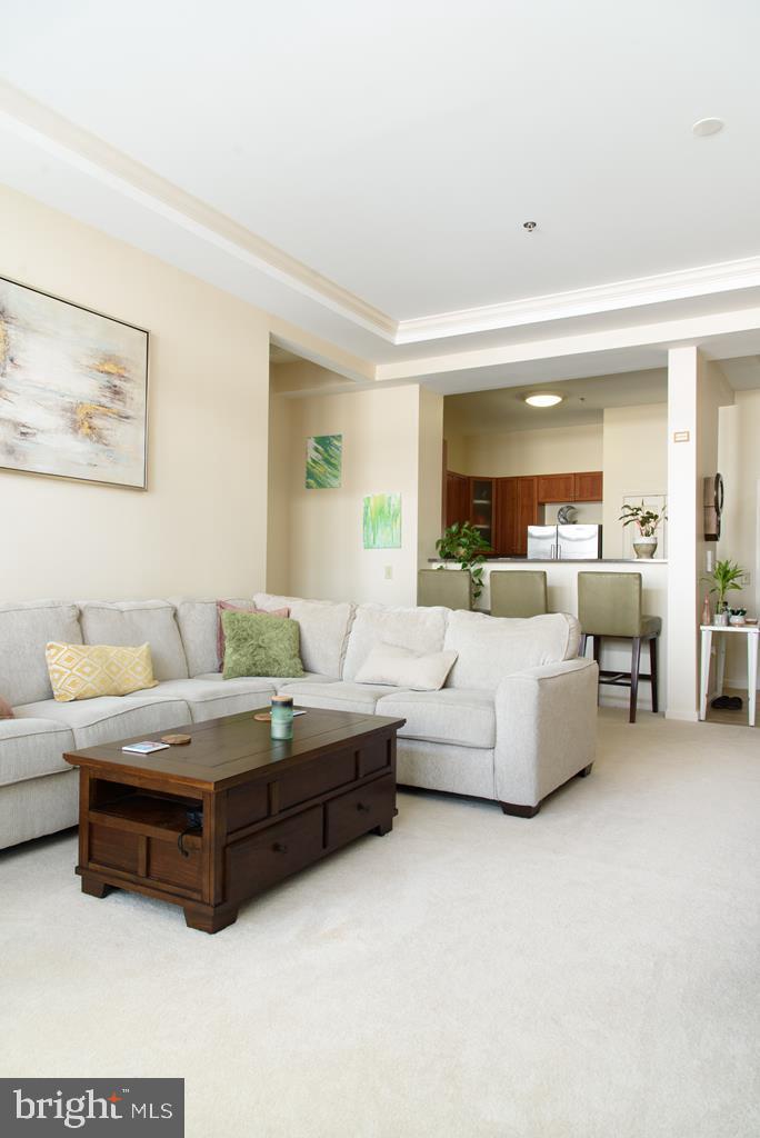 THE SUMMIT AT SHILOH - Residential