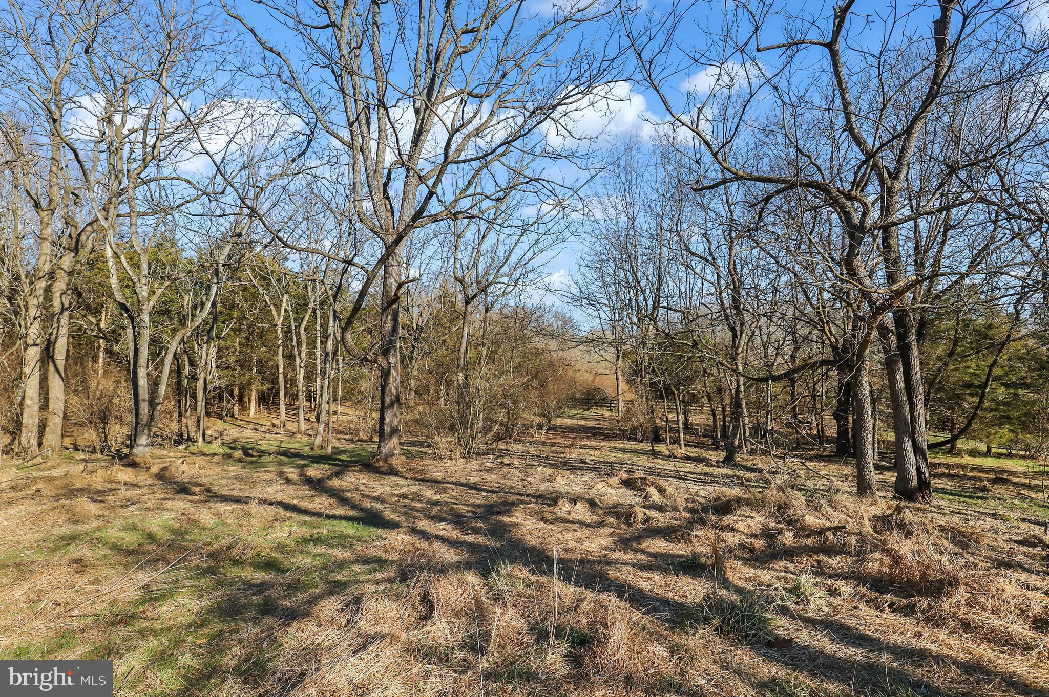 NORTHWOOD ESTATES - Residential