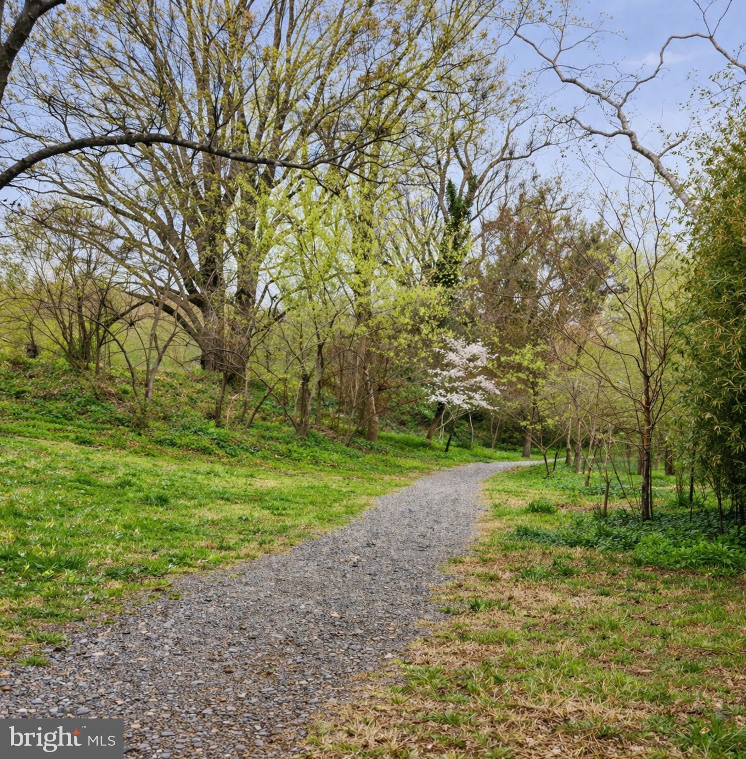 CLEVELAND PARK - Residential
