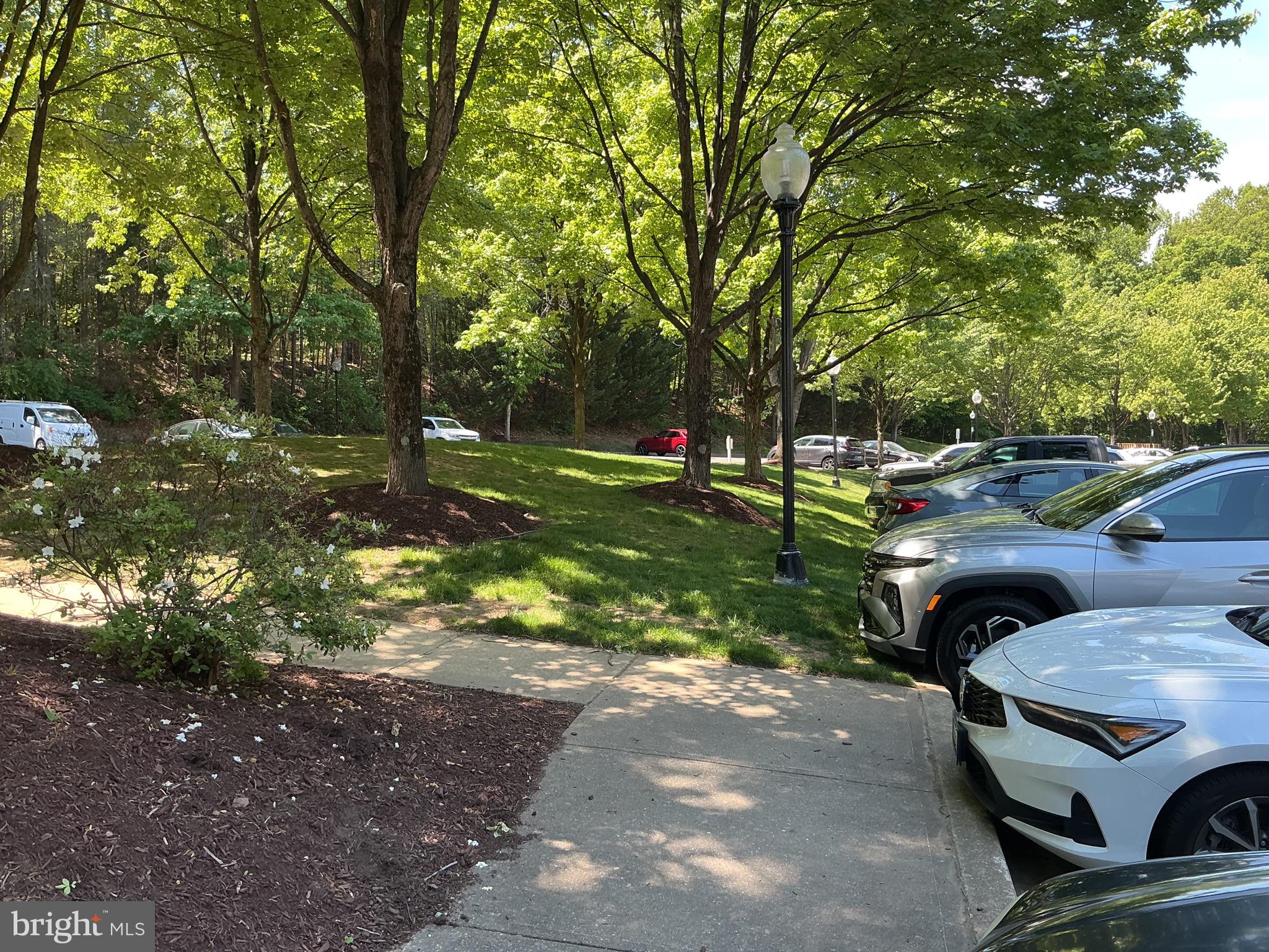TIMBERBROOK CODM - Residential