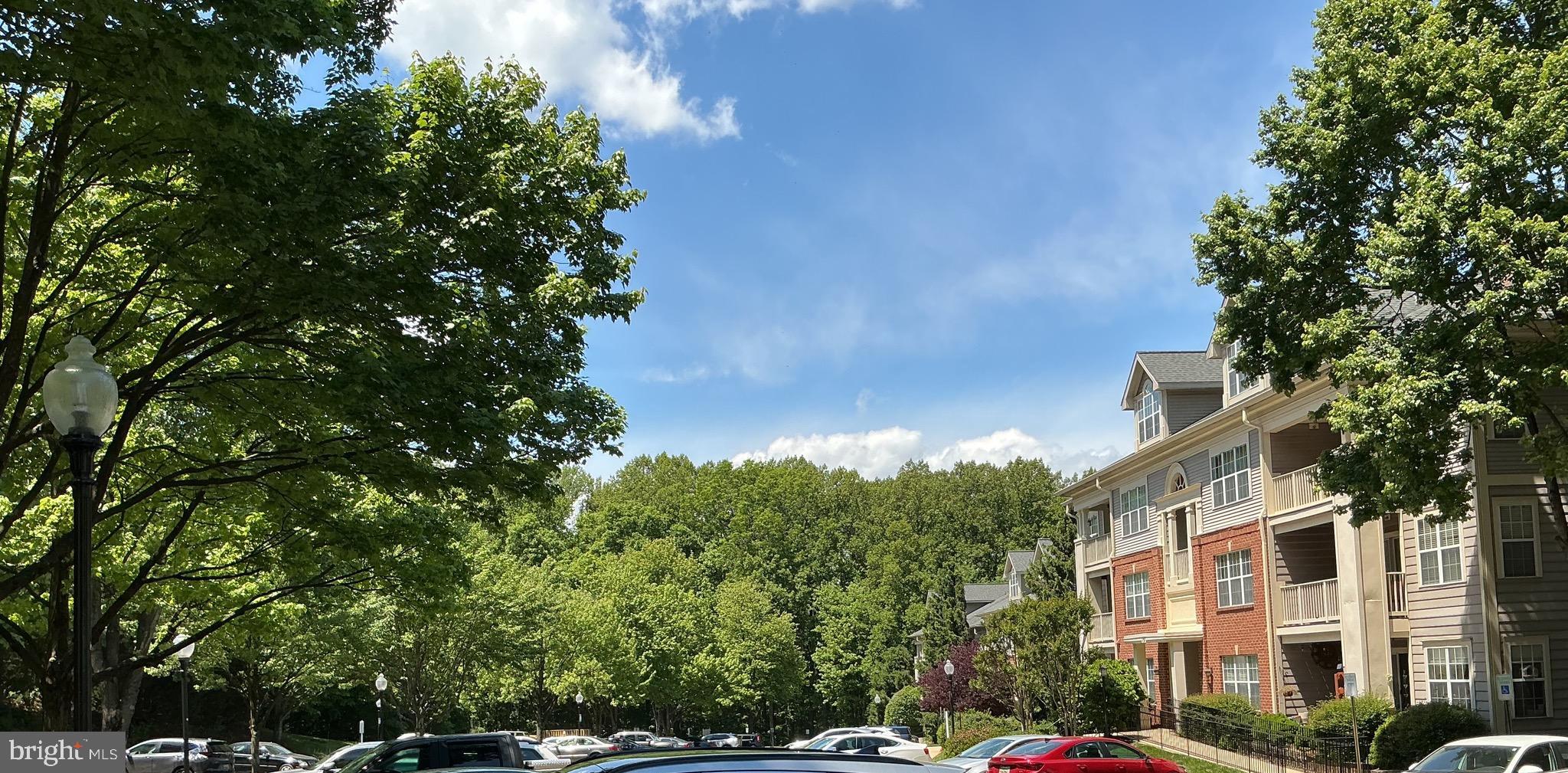TIMBERBROOK CODM - Residential