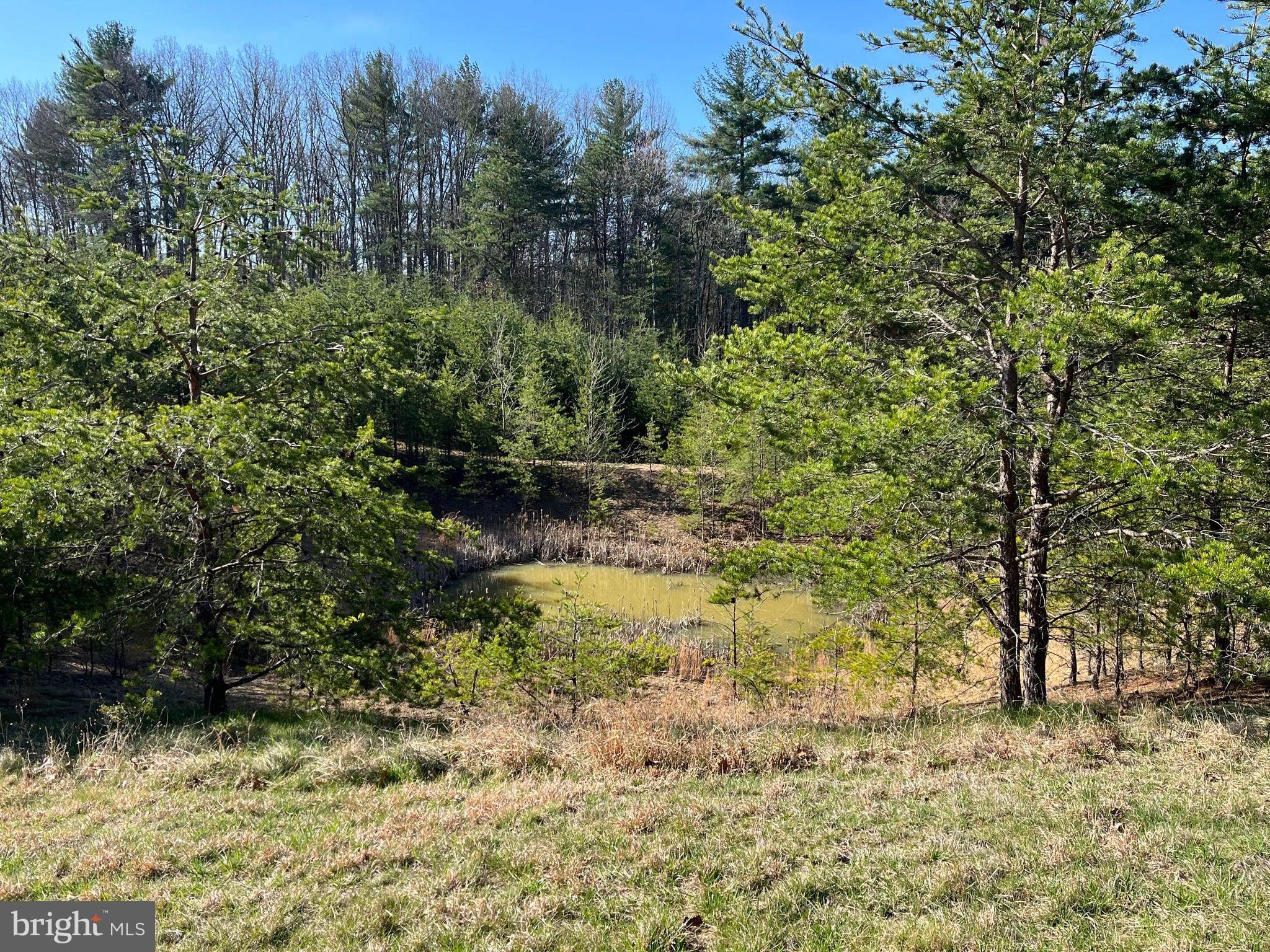 MEDALLION ESTATES - Residential