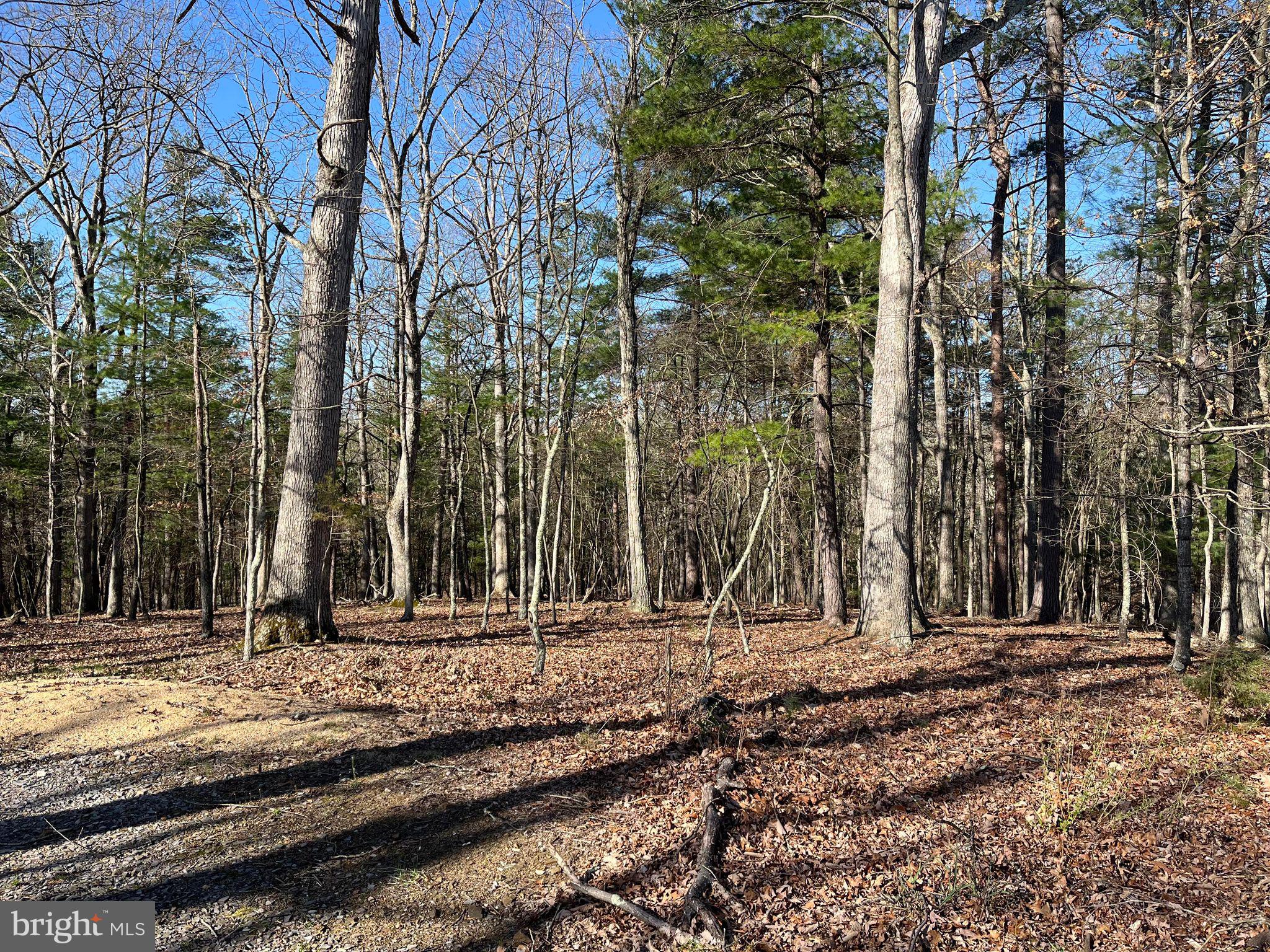 MEDALLION ESTATES - Residential