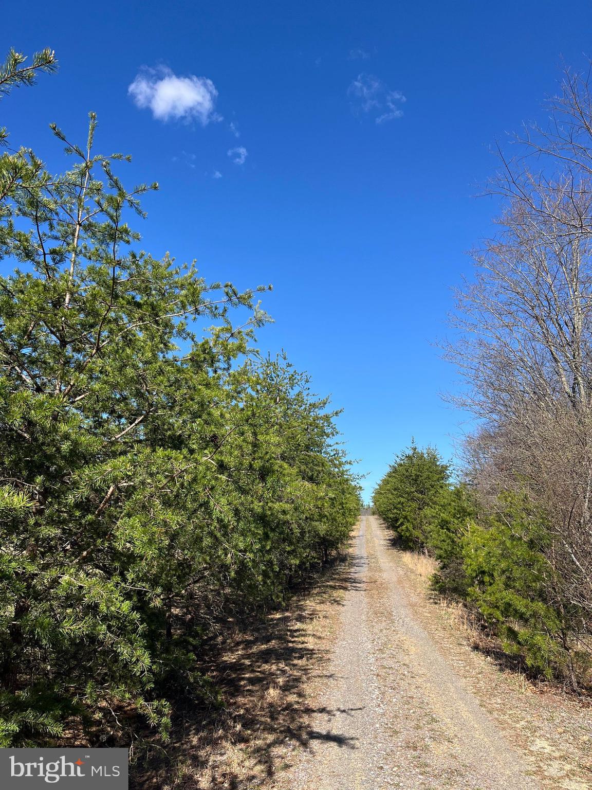 MEDALLION ESTATES - Residential