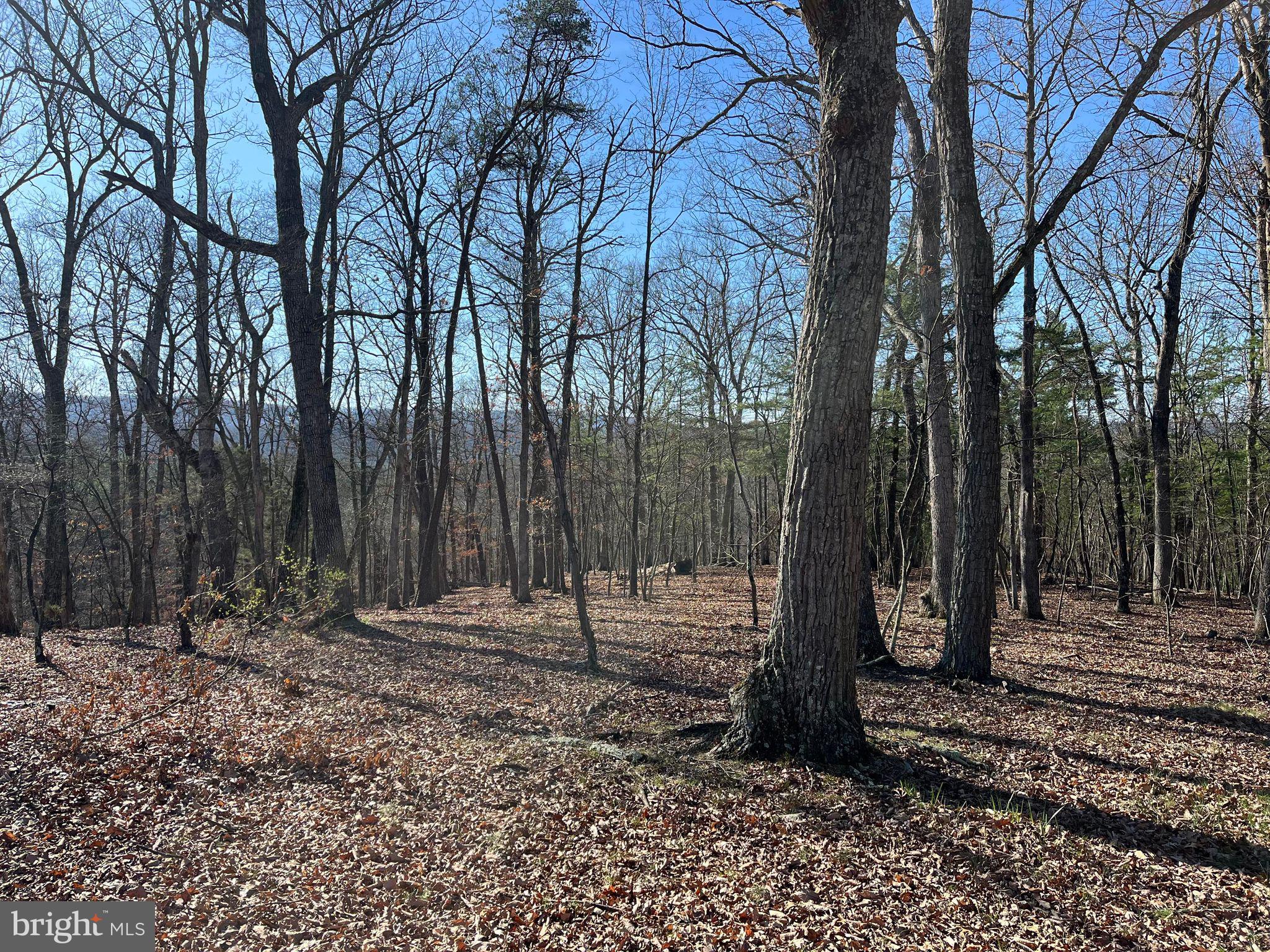 MEDALLION ESTATES - Residential