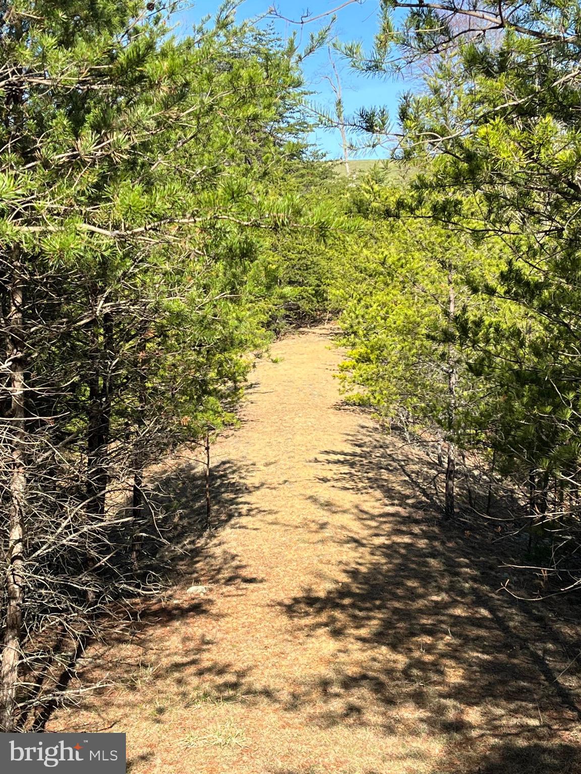 MEDALLION ESTATES - Residential