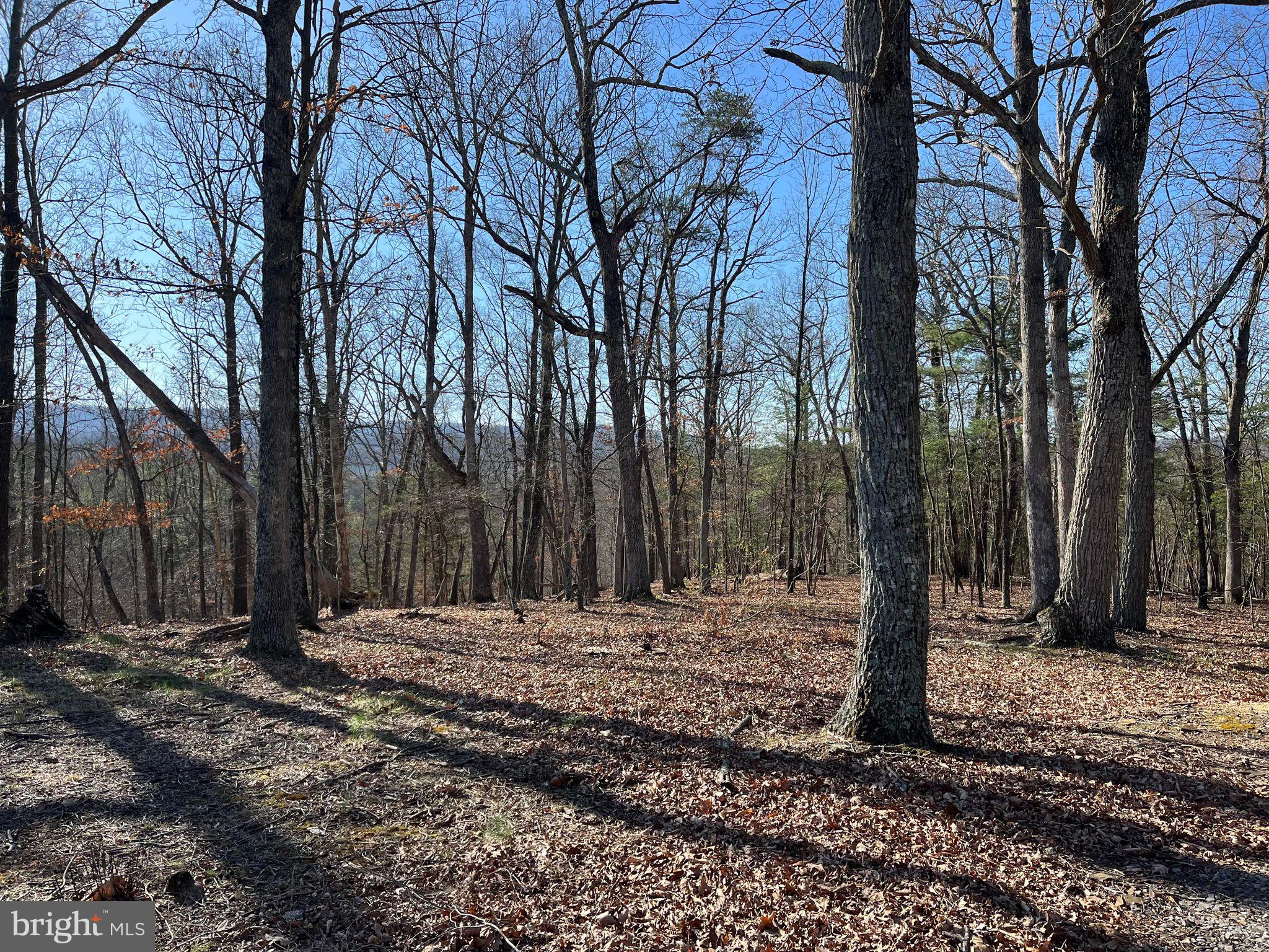 MEDALLION ESTATES - Residential