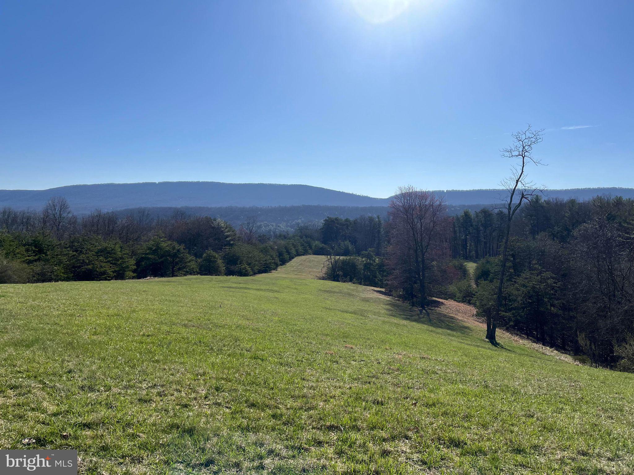 MEDALLION ESTATES - Residential