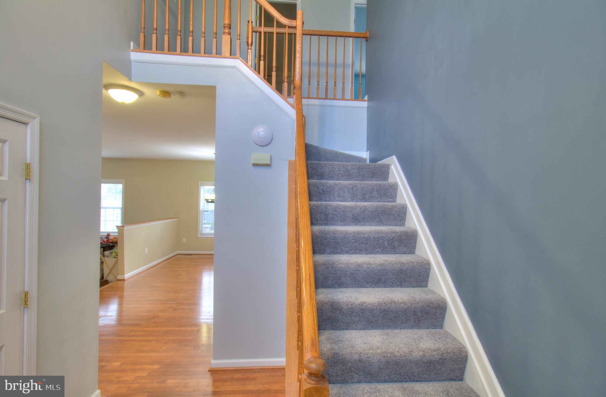 PUTTY HILL WOODS - Residential