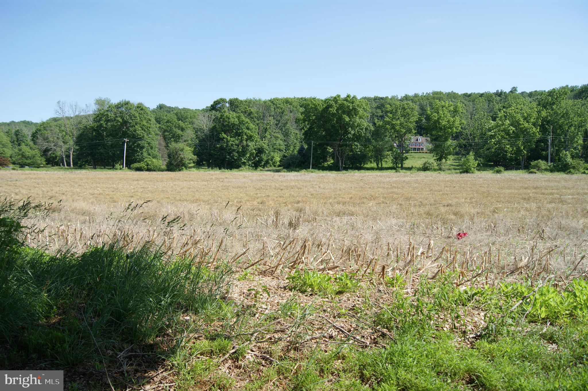 Own a piece of history and enjoy the opportunity to bring your vision and personal touch to The Samuel Wilson House, dating back to 1767. Currently known as part of the Fell Farm, located in the heart of Solebury, this beautiful 38.85 acre parcel could be your long time dream come true! This spectacular property now has a relocated and enlarged building envelope, which allows for the construction of two dwelling units within the envelope. Additional structures are permitted outside of the building envelope that support agricultural uses. The damaged farmhouse pictured may be renovated or razed. This is now a golden opportunity to acquire one of the few remaining large parcels available in the area. Just minutes to New Hope Boro, Lambertville and all Delaware River activities.
