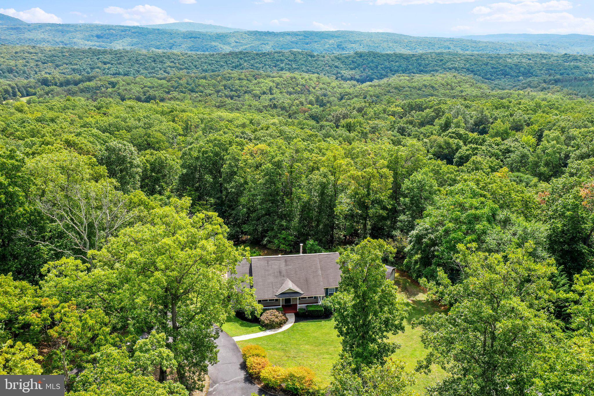PINE CONE - Residential