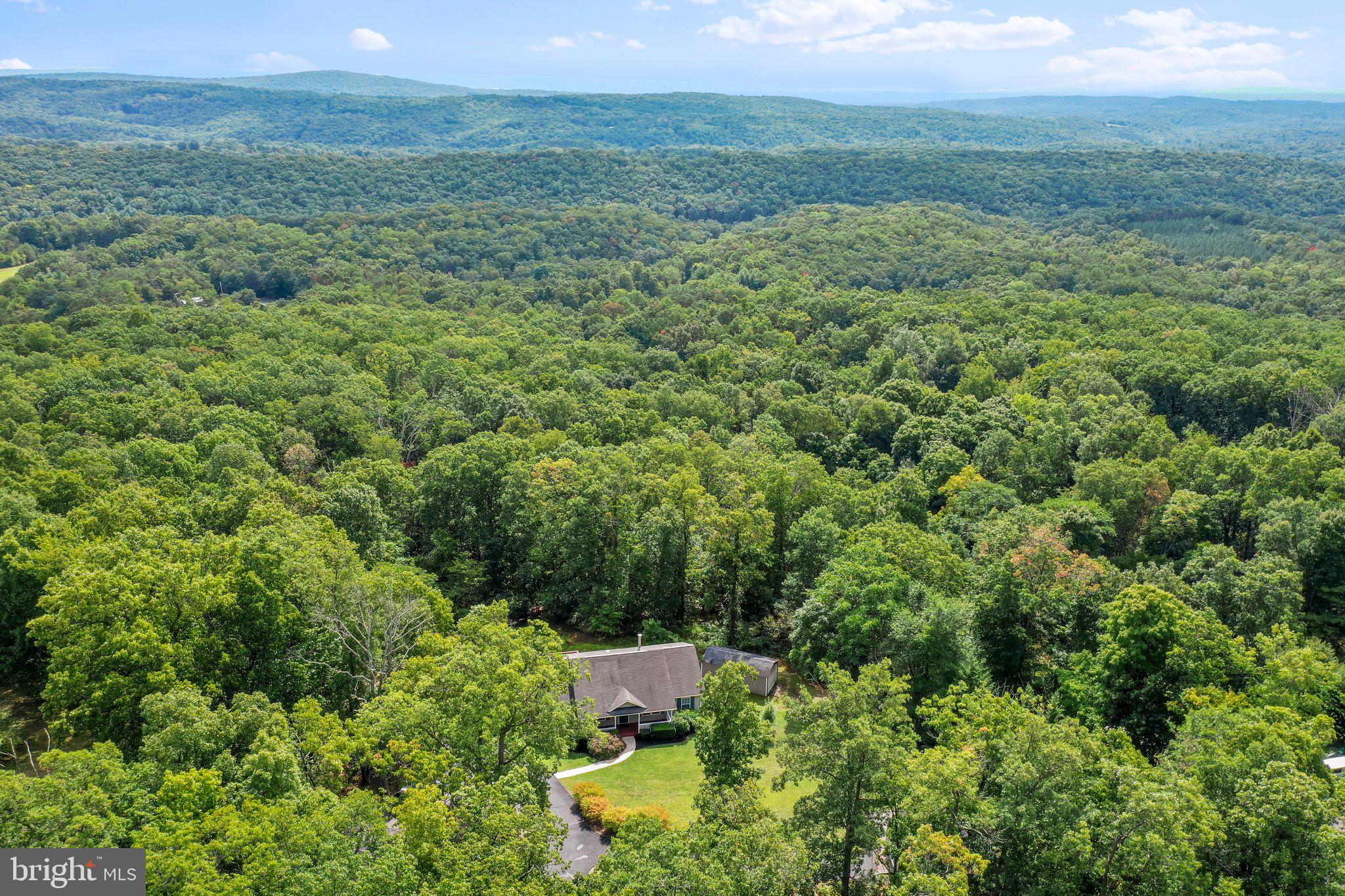 PINE CONE - Residential