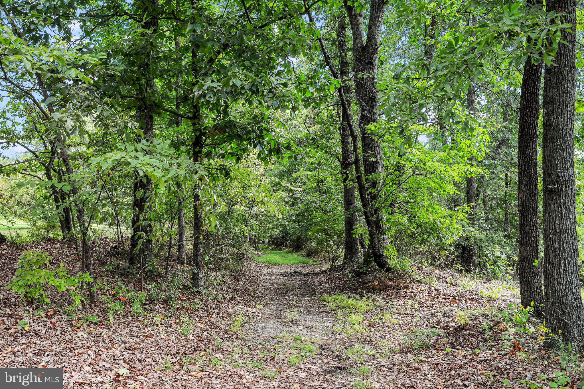 PINE CONE - Residential