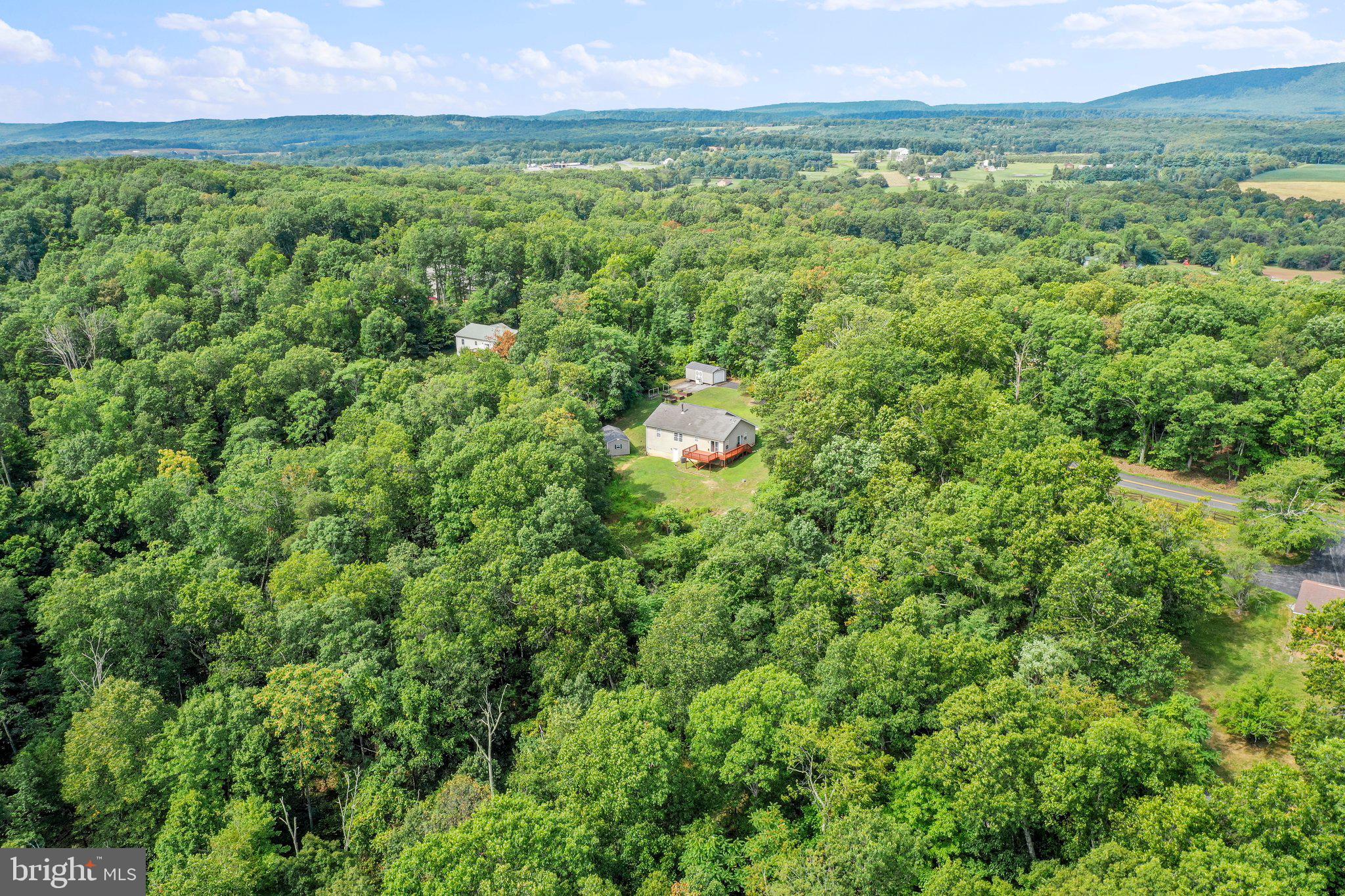 PINE CONE - Residential