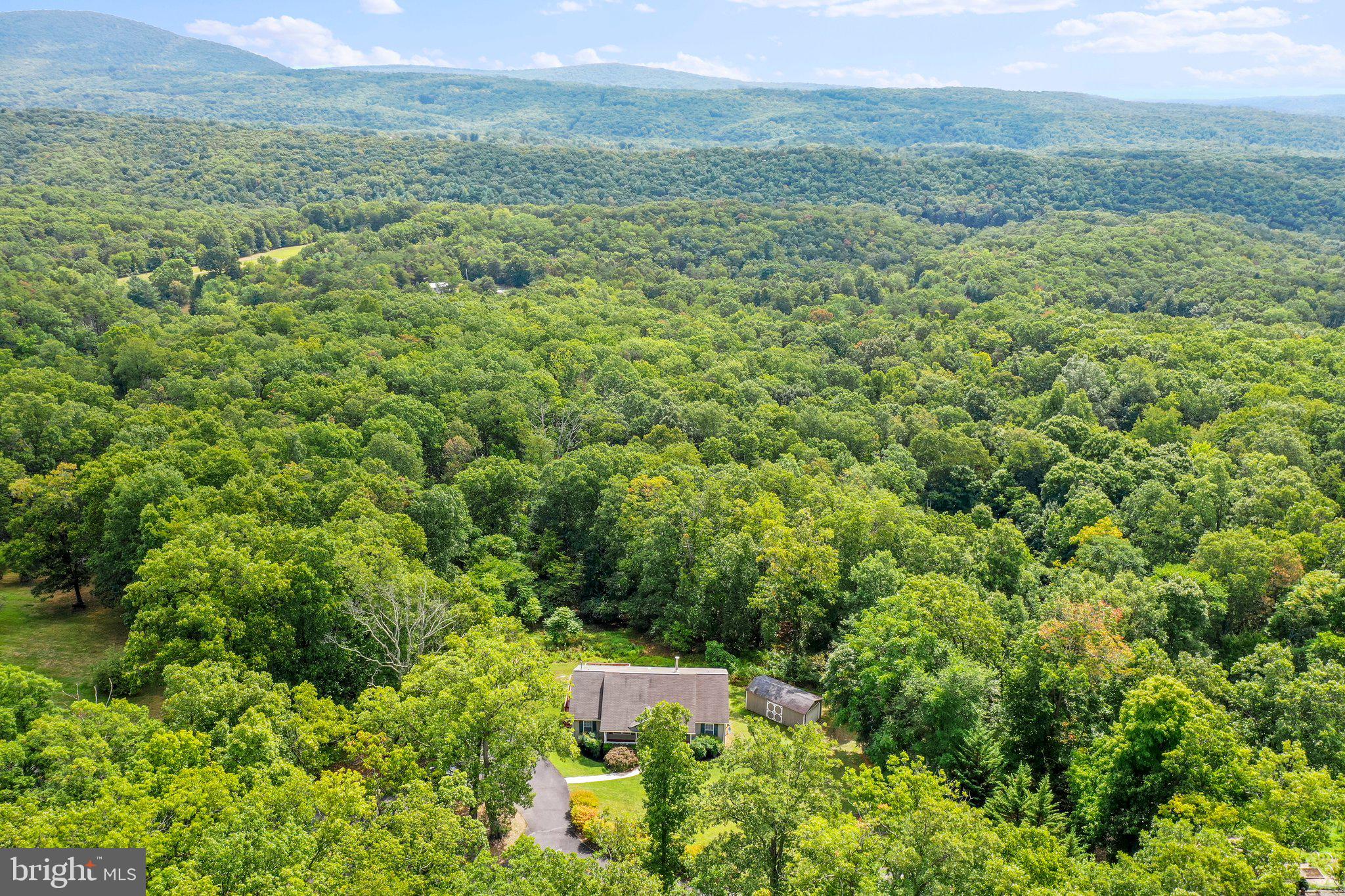 PINE CONE - Residential
